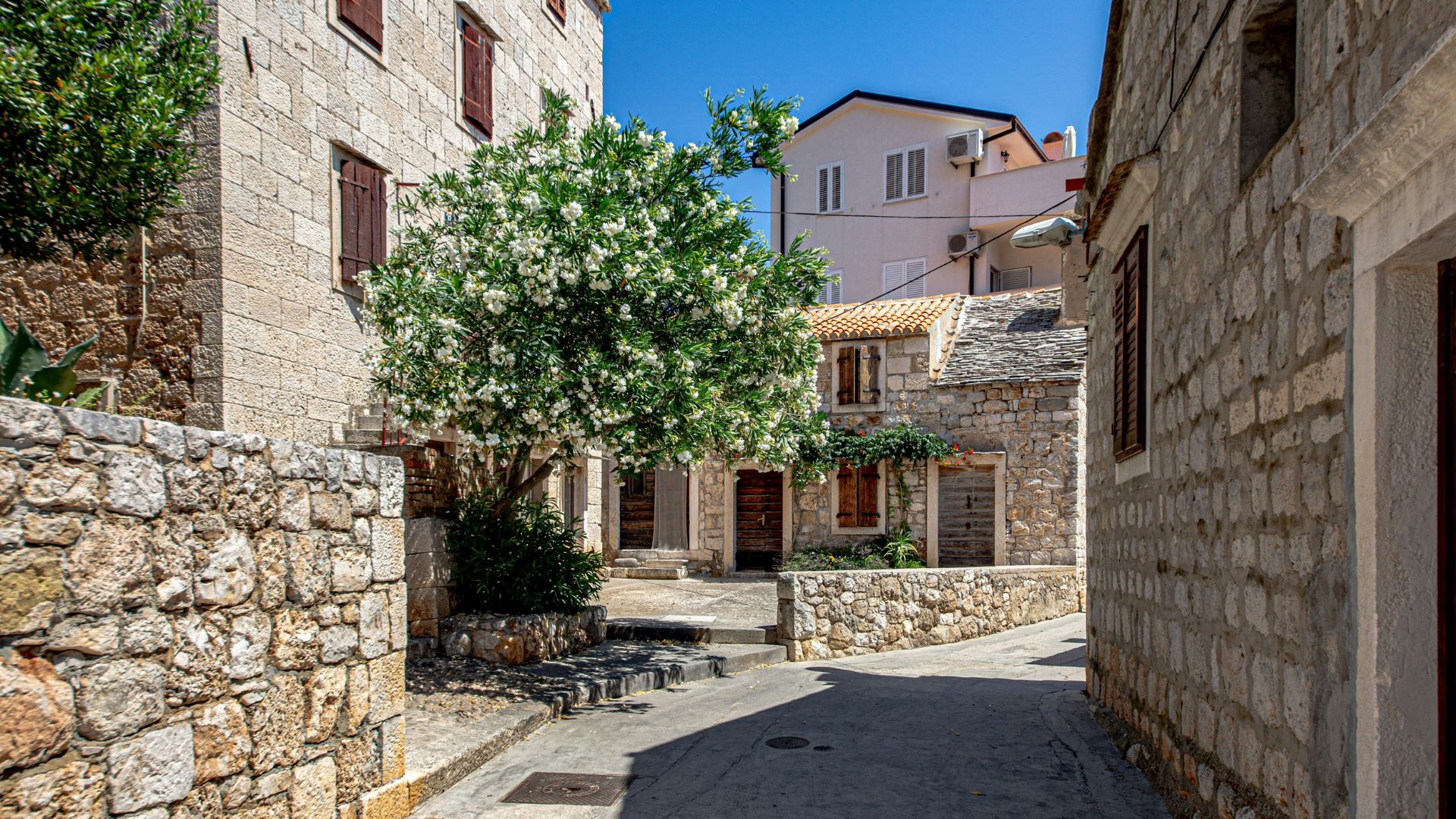 A narrow, sunlit stone-paved street winds through an old European town, flanked by traditional stone houses with wooden shutters and stone walls, with a prominent white-flowering tree in the center. 