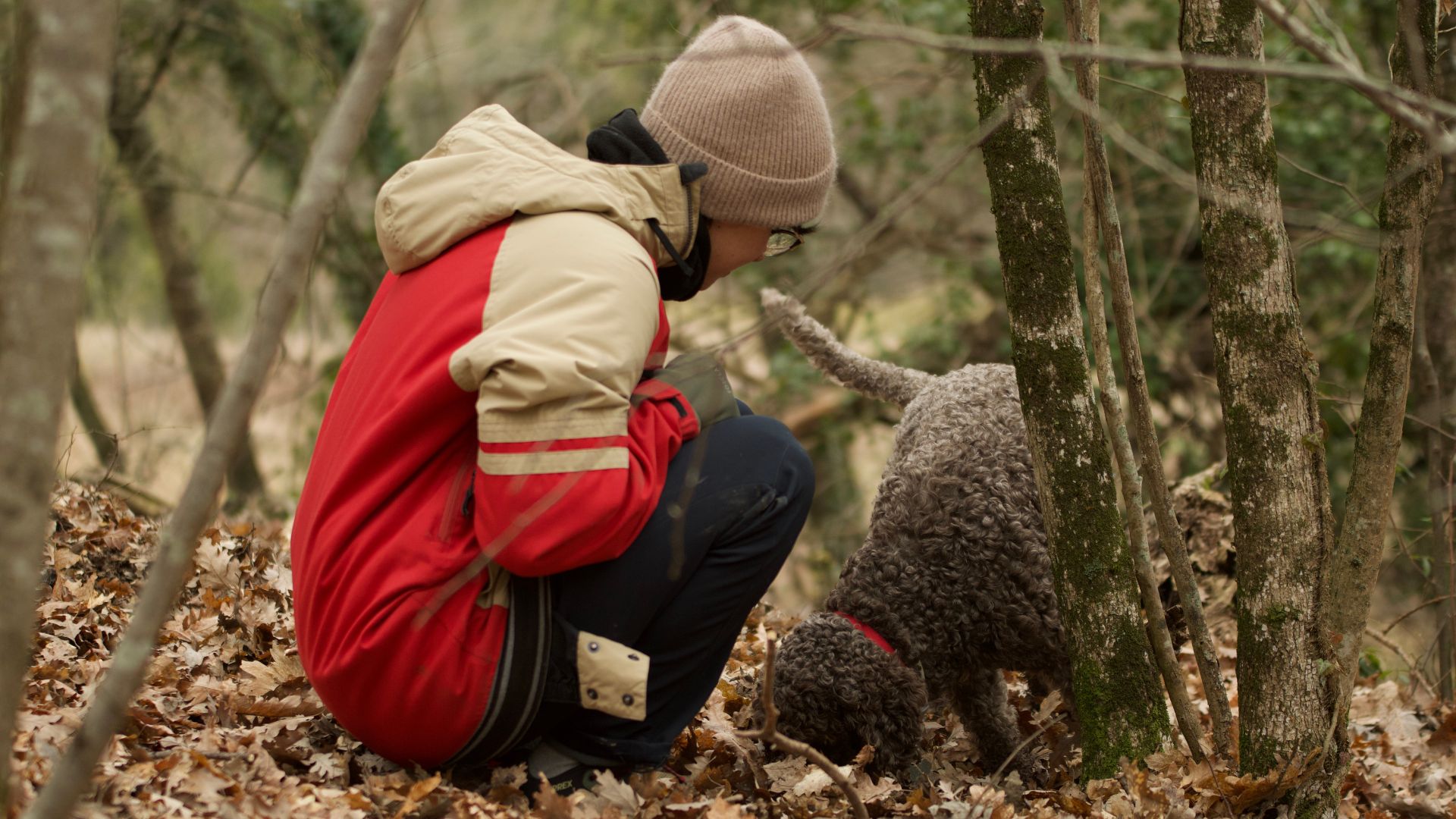 Truffle hunting