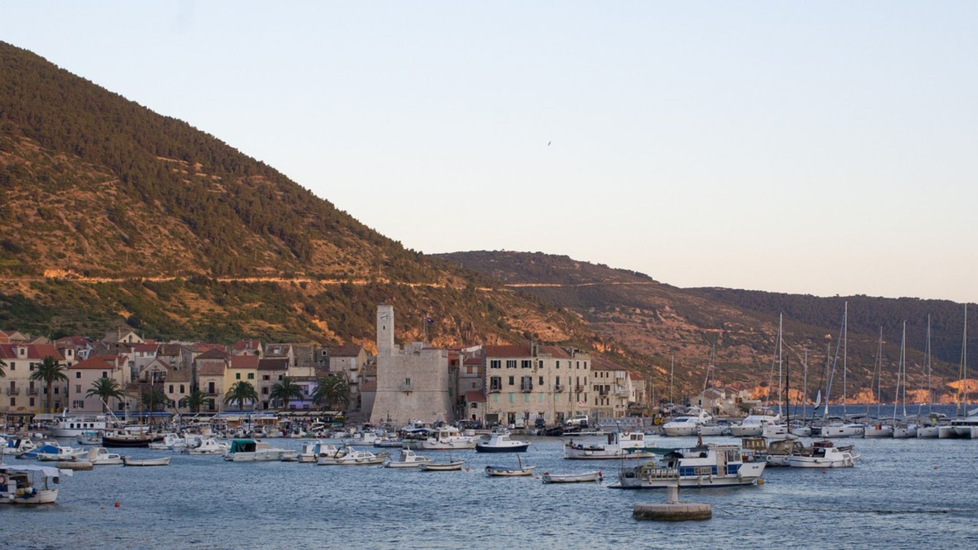 A scenic view of a coastal town and its harbor on Vis Island, Croatia, with numerous boats in the water and a large, tree-covered hill in the background under a clear sky.