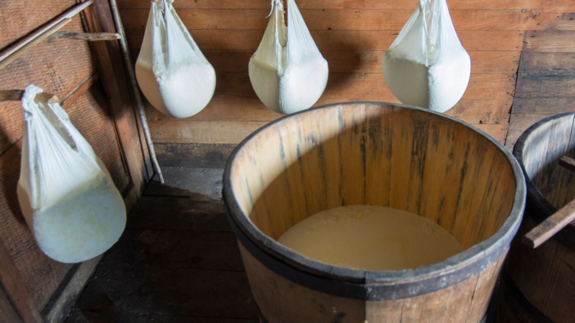 A rustic scene showing two large wooden vats, one filled with a milky liquid, and several small white cheesecloth bags hanging above, presumably draining whey as part of a traditional cheese-making process in a wooden-walled room.