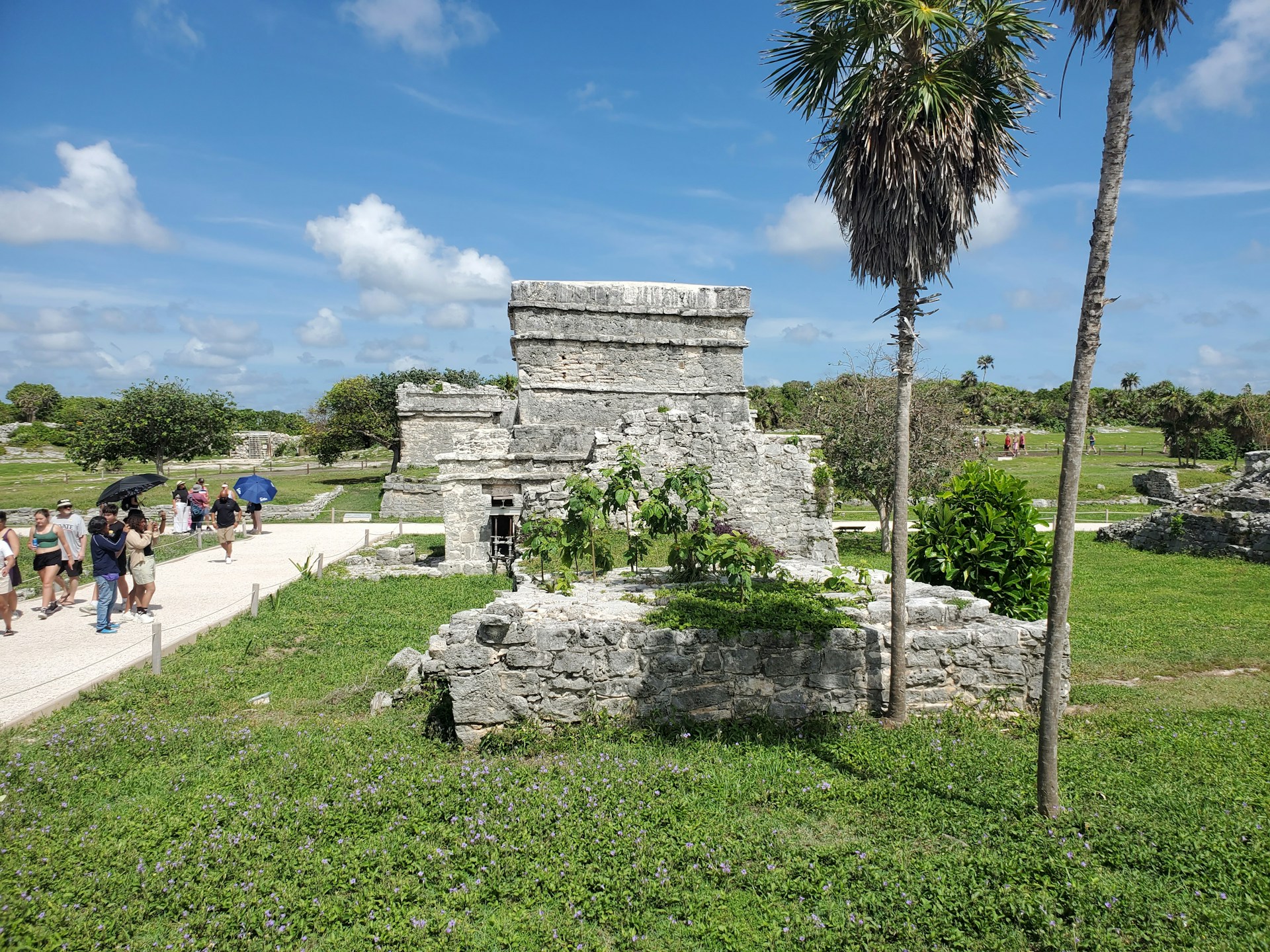 A view of an ancient Mayan ruin in the Yucatán Peninsula