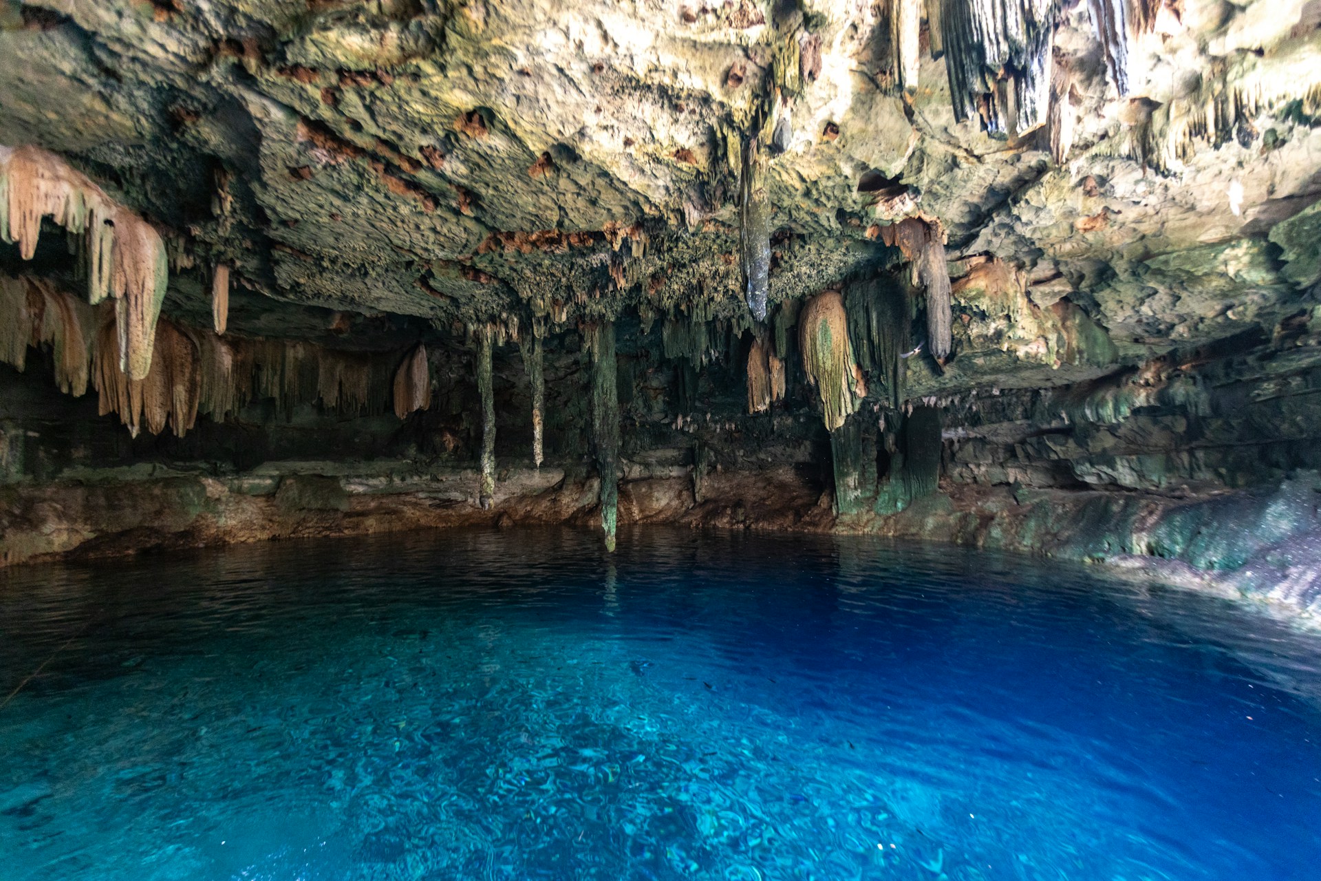 A serene cenote in the Yucatán Peninsula