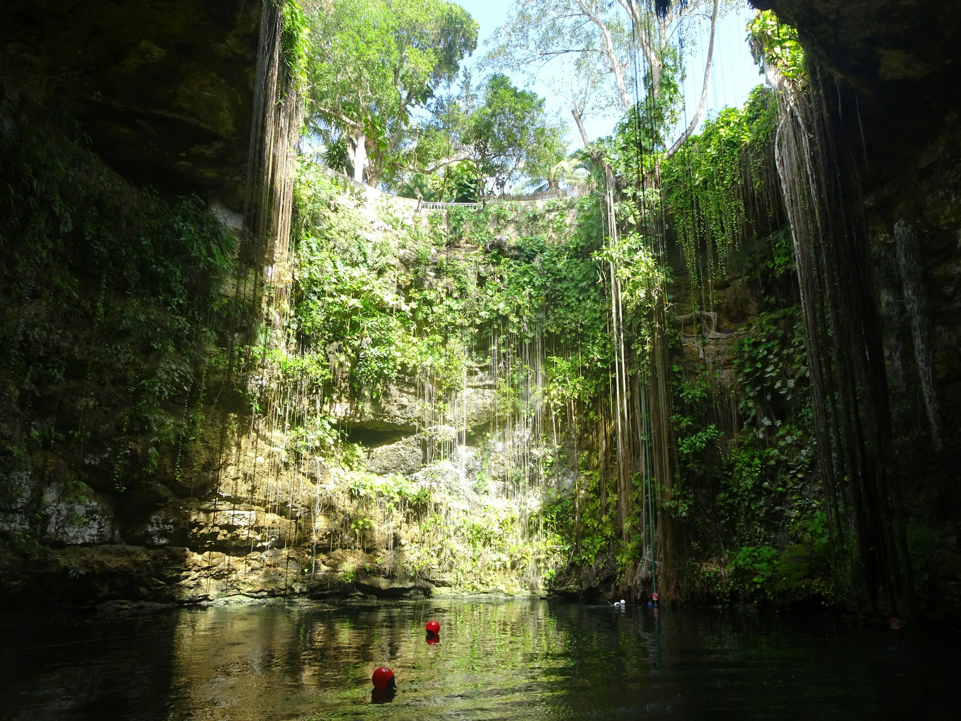 A breathtaking cenote in the Yucatán Peninsula