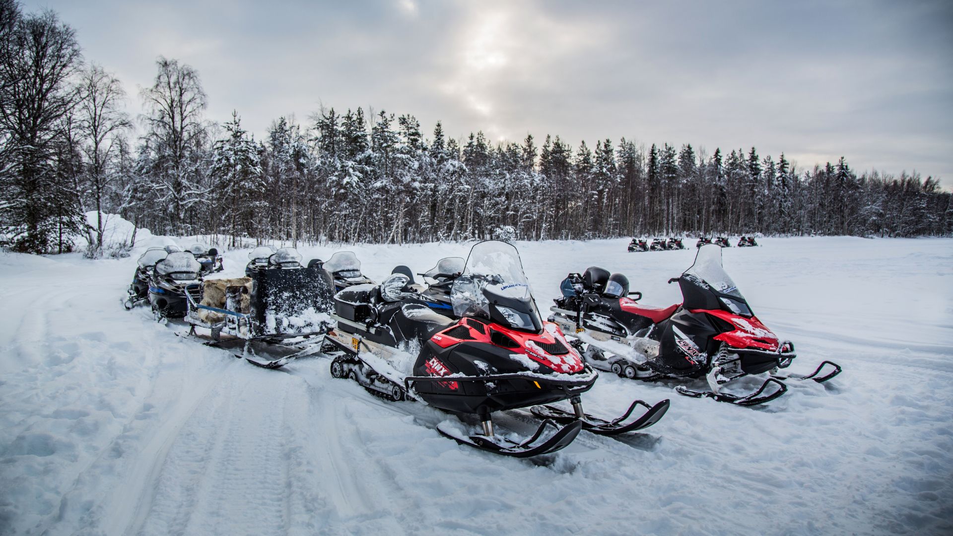 A line of snowmobiles parked in deep snow in a forest clearing under a cloudy sky.