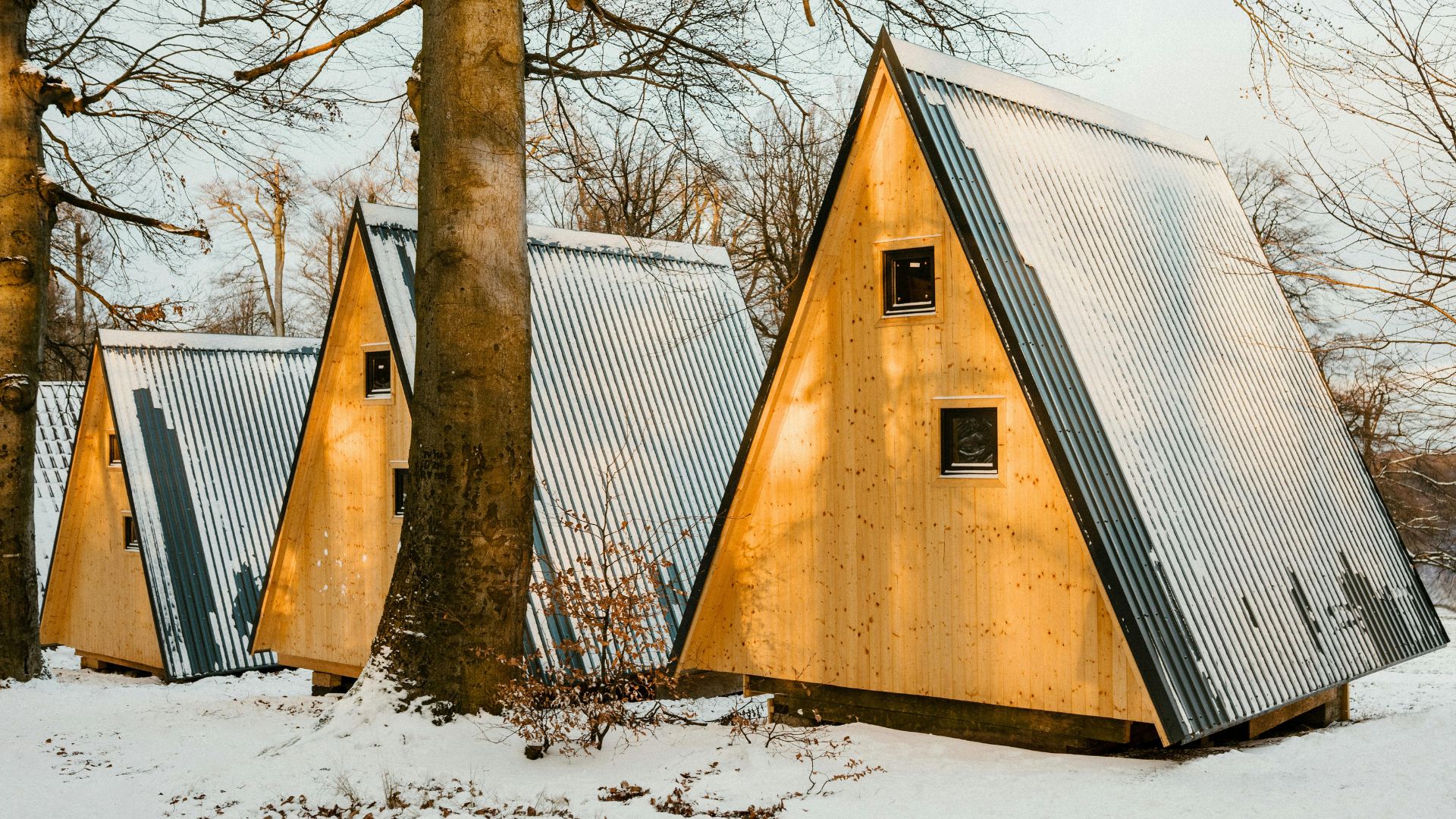 Multiple small, modern A-frame cabins with wood siding and snow-covered metal roofs nestled in a snowy, bare winter forest.