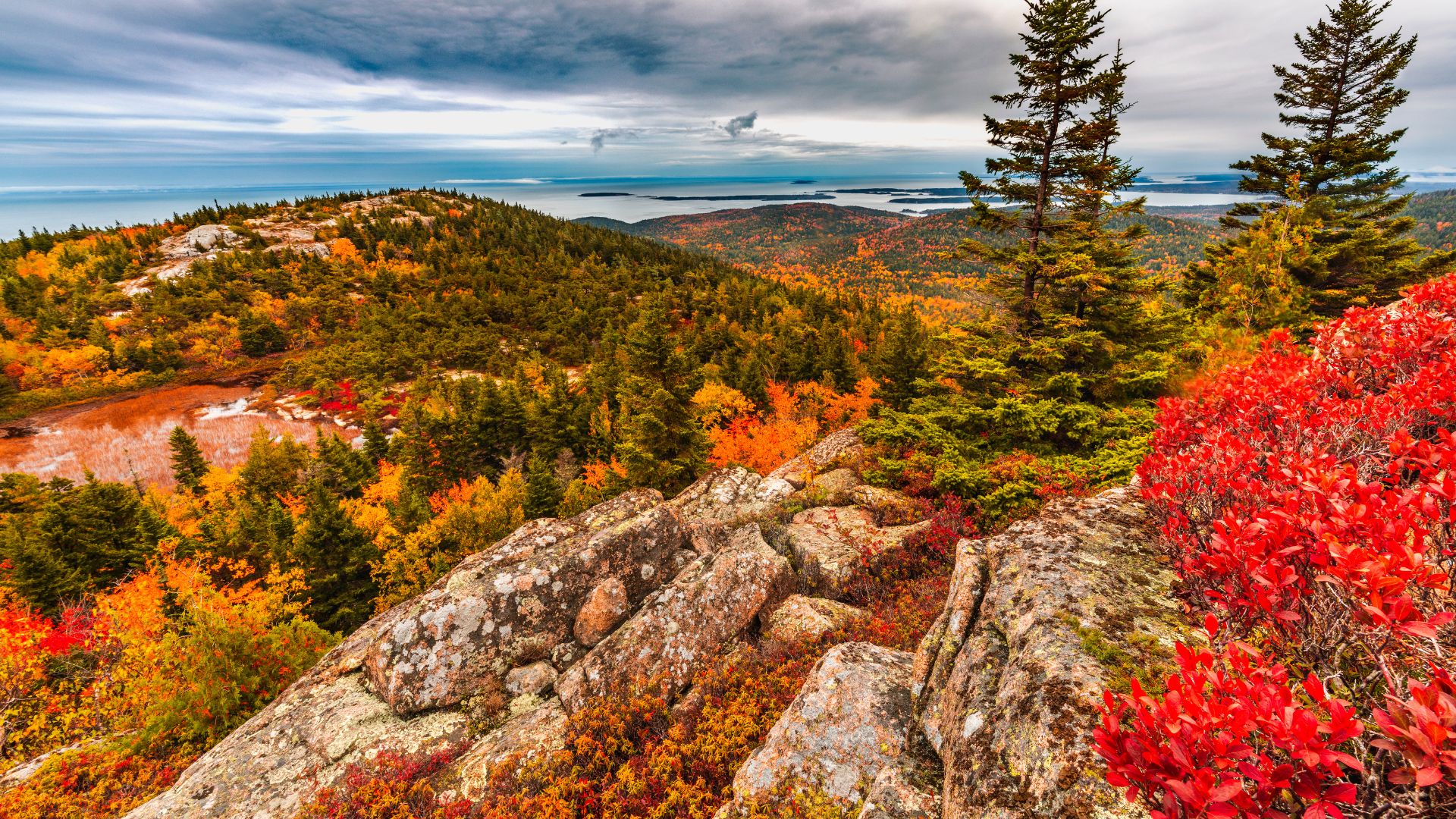 A view from a rocky mountain overlook showing vibrant red and orange autumn foliage and evergreen trees with an ocean and islands in the background under a cloudy sky in Acadia National Park, Maine.