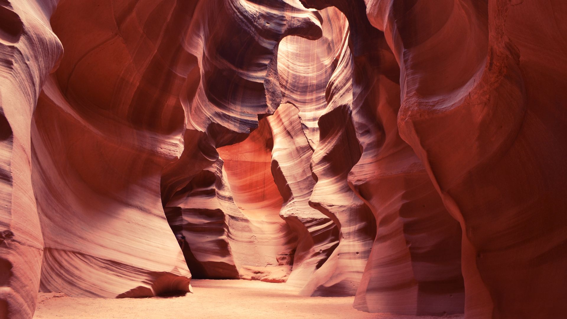 A narrow, sandy-floored slot canyon with towering, flowing orange and purple-toned sandstone walls illuminated by natural light from above.