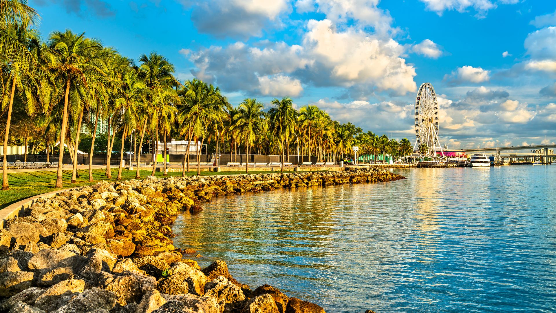 A view across a rocky shoreline and calm water toward the Skyviews Miami Observation Wheel and the Miami skyline, with numerous palm trees lining the park under a bright blue sky with white clouds.