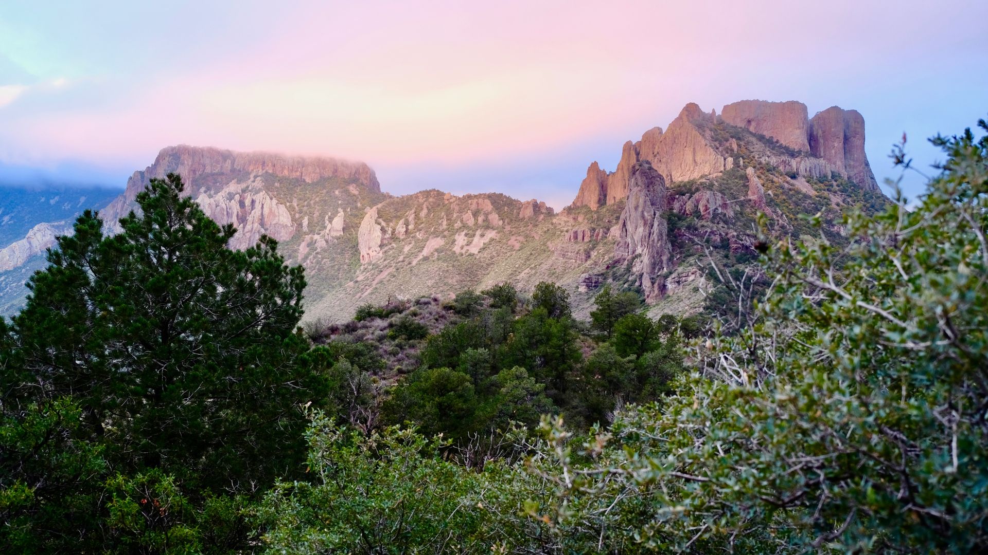 A panoramic view of the rugged, flat-topped Casa Grande peak and other Chisos Mountains at sunrise or sunset, with lush green foliage in the foreground.