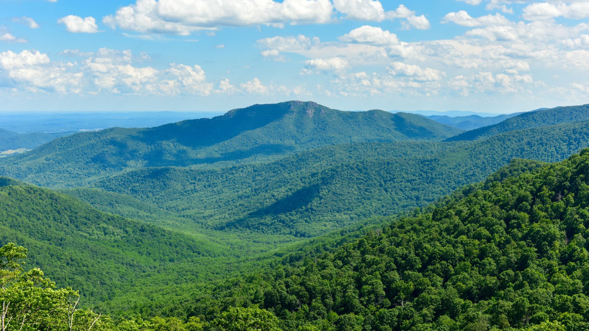 A panoramic daytime view of numerous layers of rolling green, forested mountains with a blueish haze, receding into the distance under a blue sky with scattered white clouds.