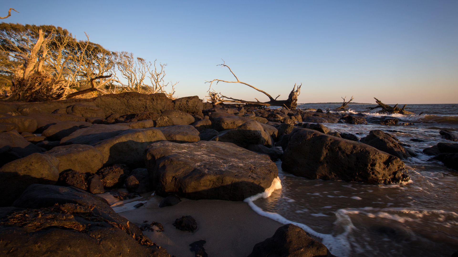 A deserted beach with large boulders and bare, skeletal tree trunks at sunset, with water washing ashore.