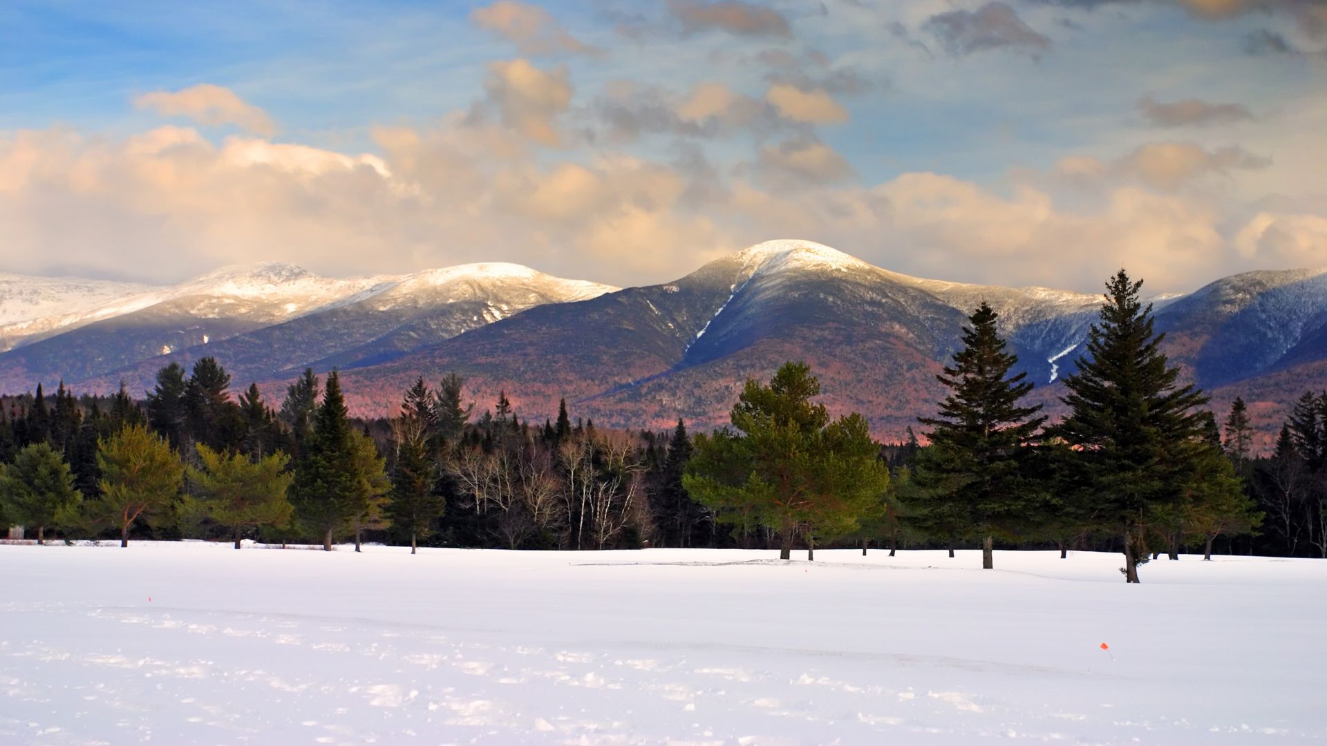 A photo showing snow-capped mountains in the background with a foreground of green and brown evergreen trees and bare deciduous trees over a field of white snow.