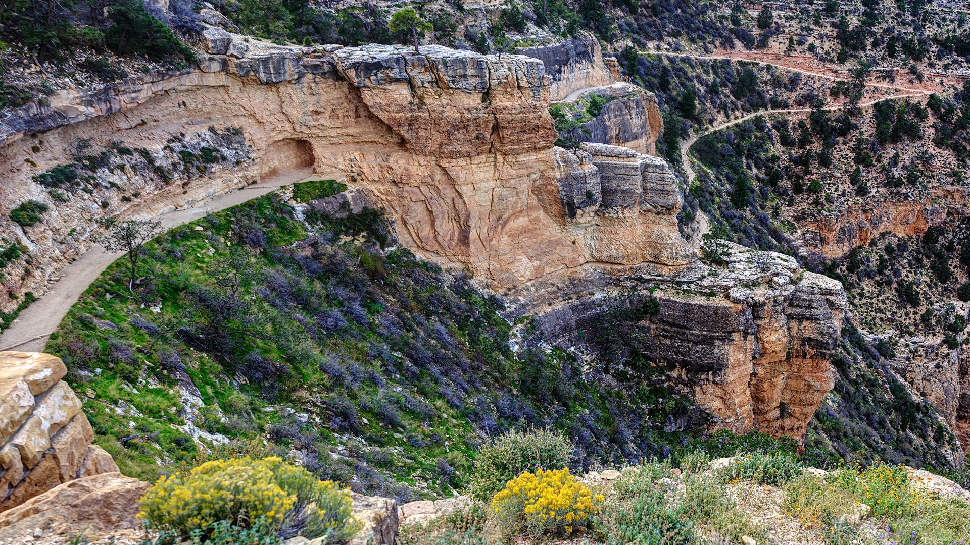 A wide, high-angle view of a natural rock arch on the Bright Angel Trail in the Grand Canyon, with a winding dirt path visible on the steep, green-vegetated cliffside, under a clear sky.