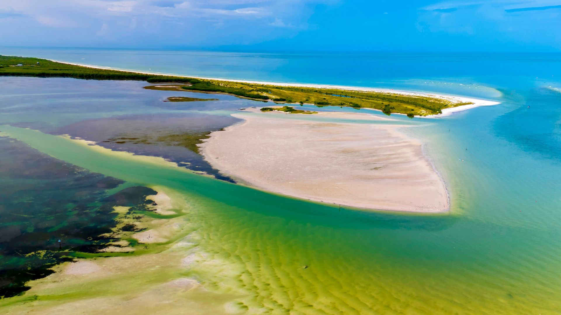 Caladesi Island, Gulf Coast of Florida, United States
