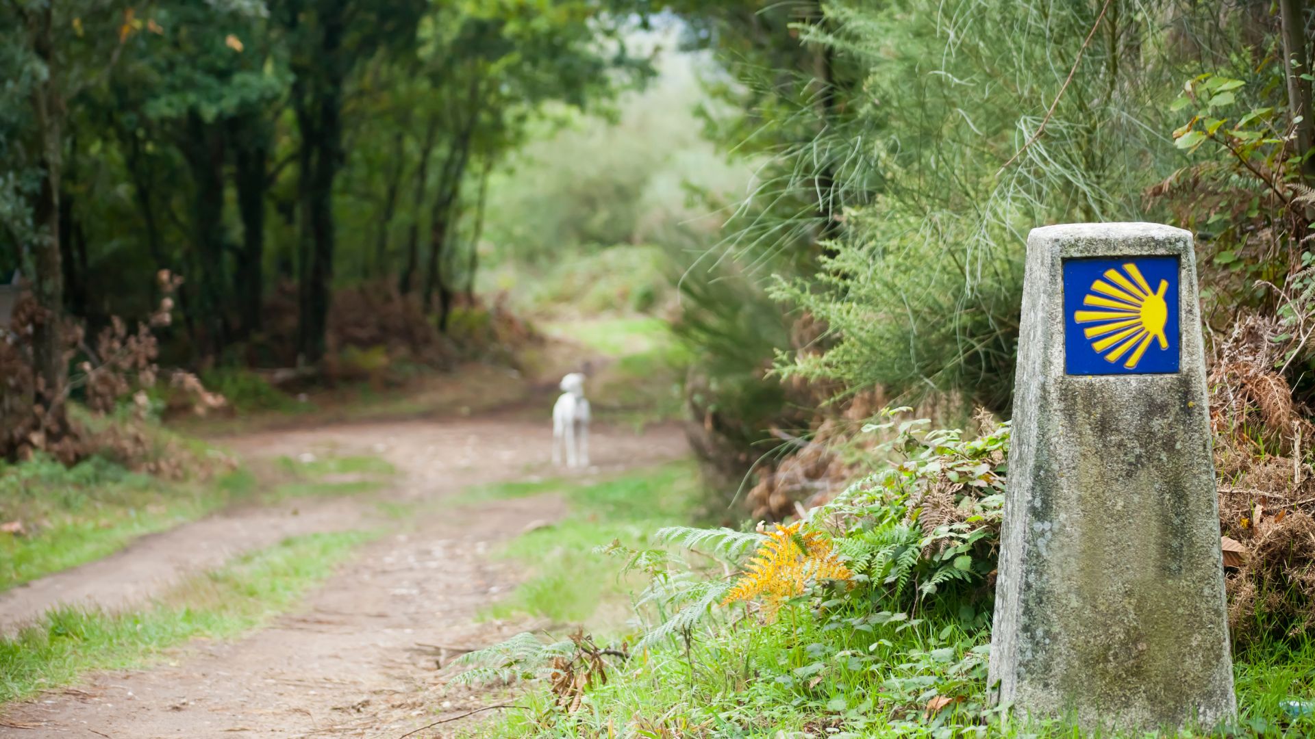 Camino de Santiago, Spain