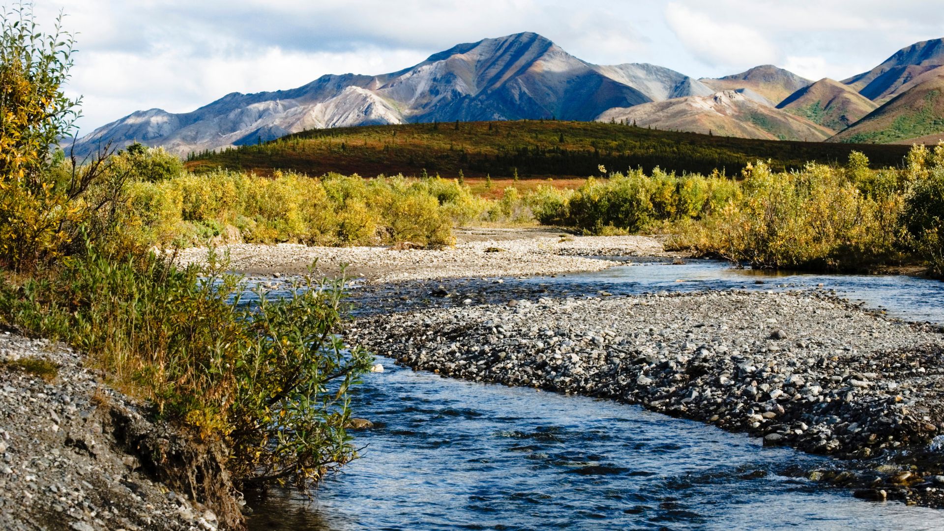 A river flows through a rocky bed with yellow and green bushes on the banks, leading to large mountains under a partly cloudy sky.