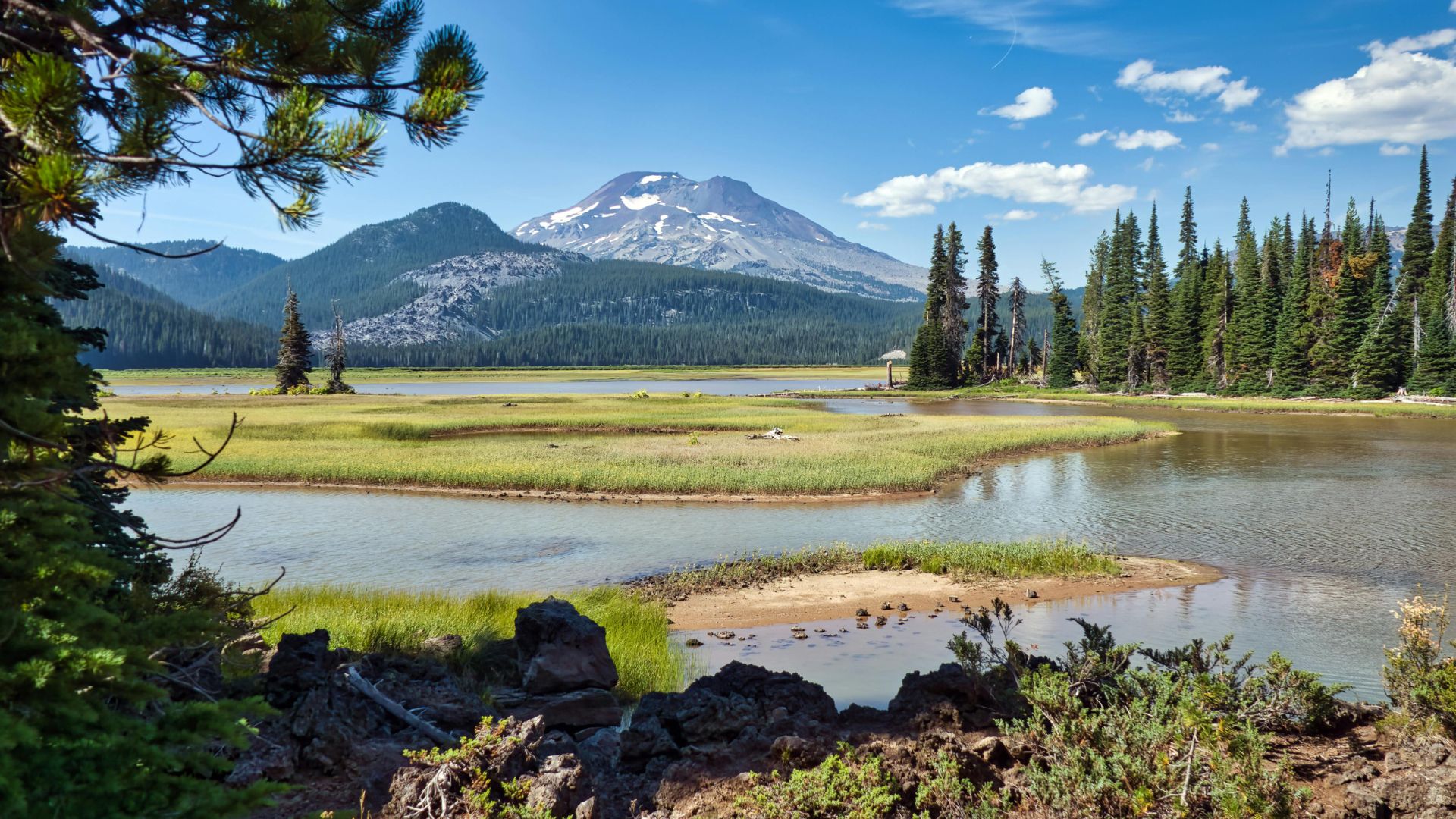 A view across the shallow, marshy waters of Sparks Lake toward the snow-capped South Sister mountain, surrounded by dense evergreen forests under a bright blue sky in the Deschutes National Forest of Oregon.