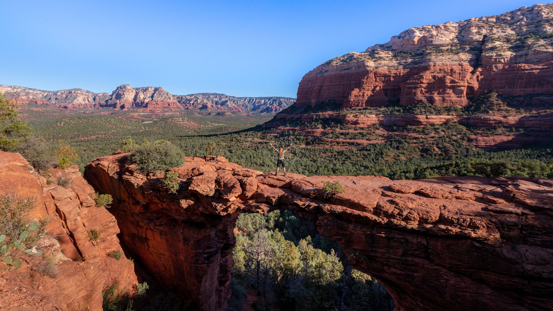 A person stands with their arms raised in victory on a large, naturally formed red sandstone arch, with a backdrop of forested canyons and majestic red rock mountains under a bright blue sky.
