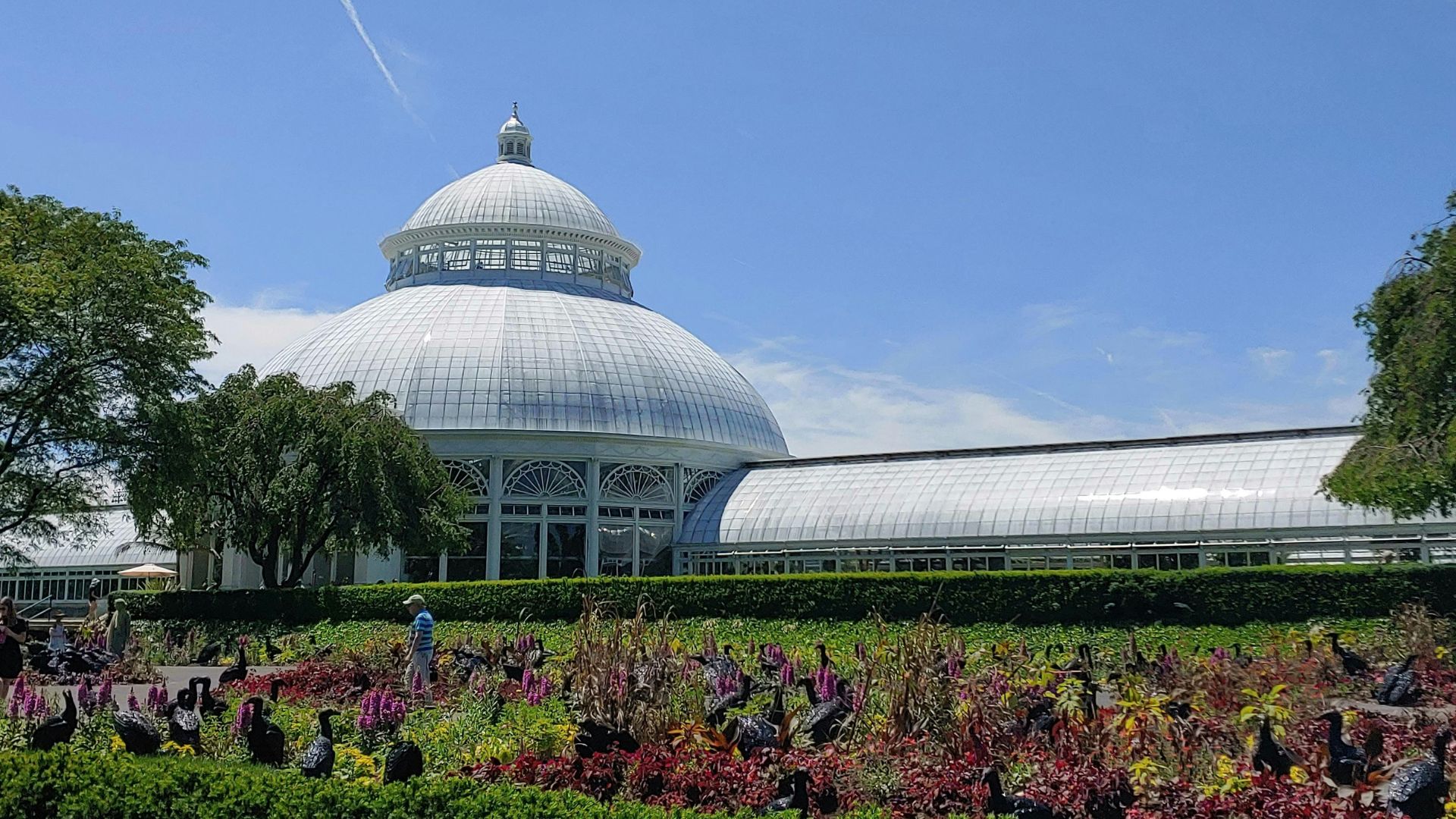 A large, ornate Victorian-era glass conservatory building with a prominent dome stands behind vibrant flower beds and a green hedge under a bright blue sky with a faint contrail.