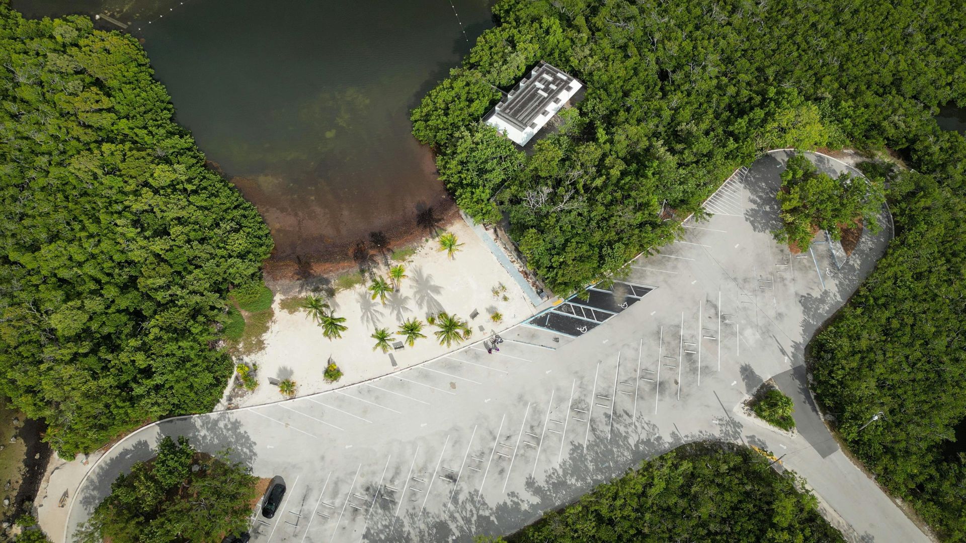 An aerial view of a parking lot and a small sandy beach area with palm trees and a white building, surrounded by dense green forest and water.