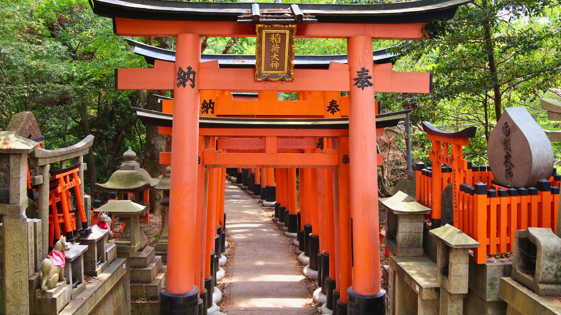 A pathway lined with thousands of dense, orange torii gates leading into a forest.