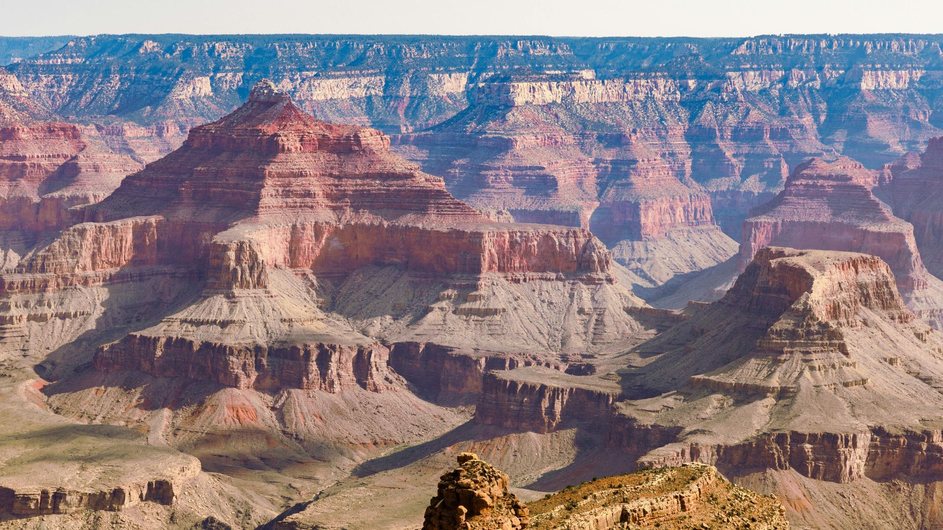 A panoramic view of the vast, mile-deep Grand Canyon with its numerous layered red rock formations and buttes under a blue sky.
