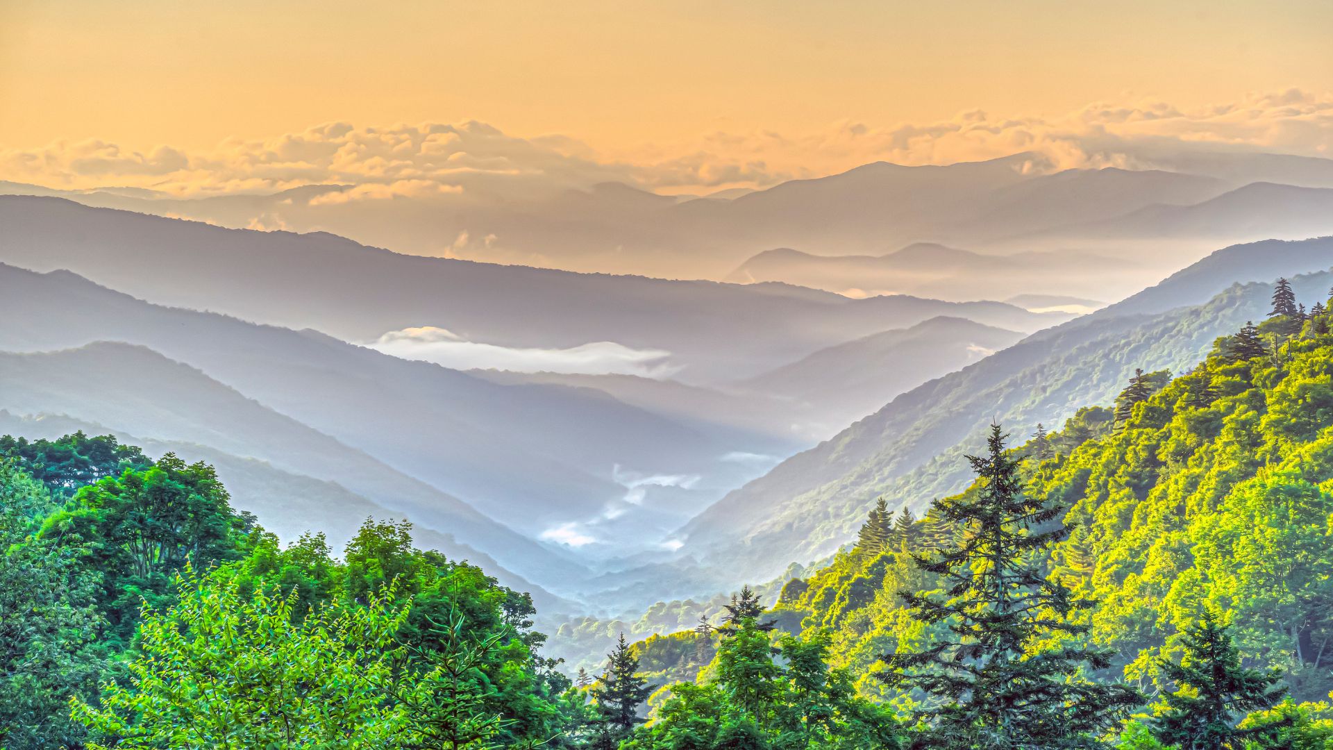 Great Smoky Mountains National Park of North Carolina and Tennessee