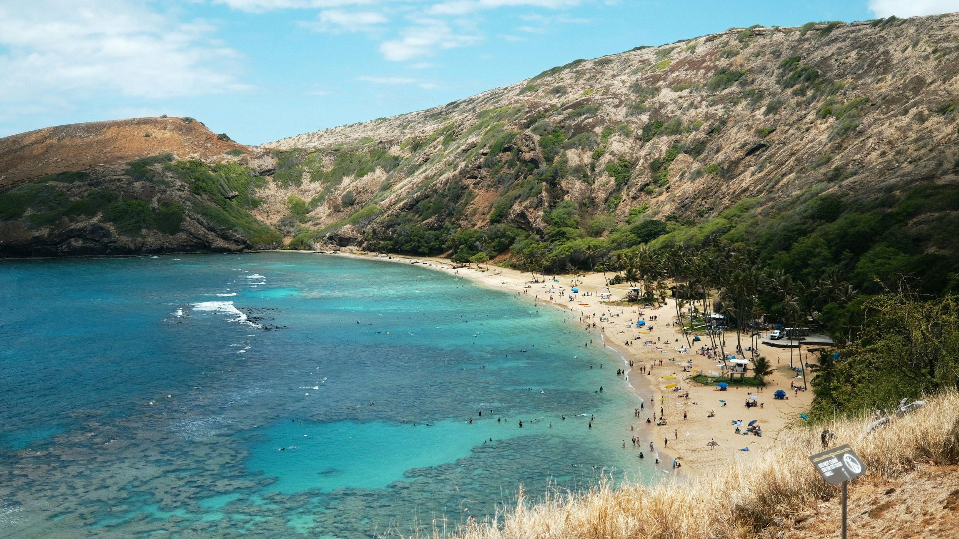 An elevated, panoramic view of the crescent-shaped Hanauma Bay in Oahu, Hawaii, showcasing clear turquoise water, a shallow coral reef visible beneath the surface, a sandy beach populated with people, and lush, dry volcanic hillsides surrounding the cove under a bright blue sky with white clouds.