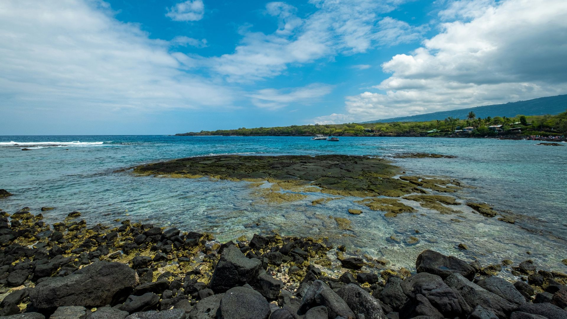 A bright, sunny view of a Hawaiian coastline featuring sharp black lava rock in the foreground and a calm bay with clear blue water and lush green, tree-covered hills in the distance.