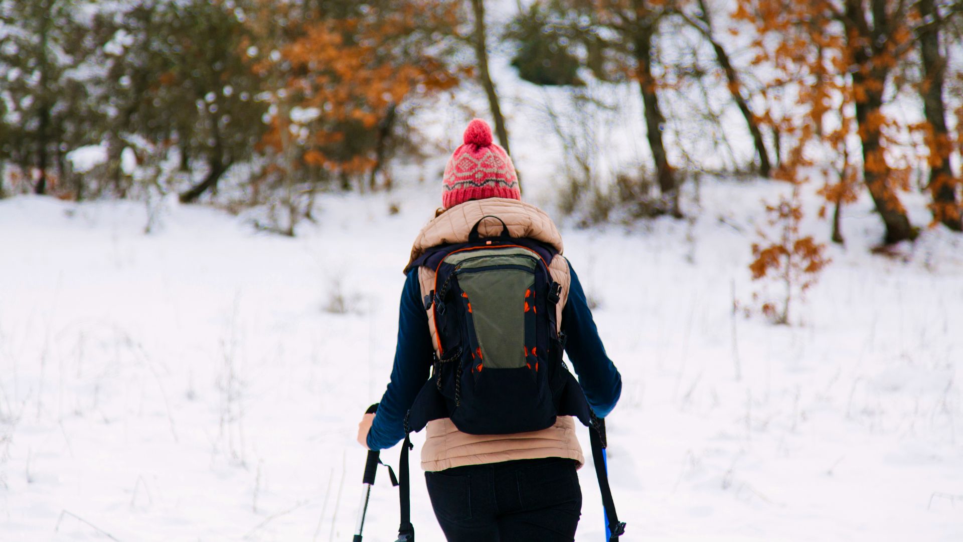 Hiking Adventures in the Winter Landscape