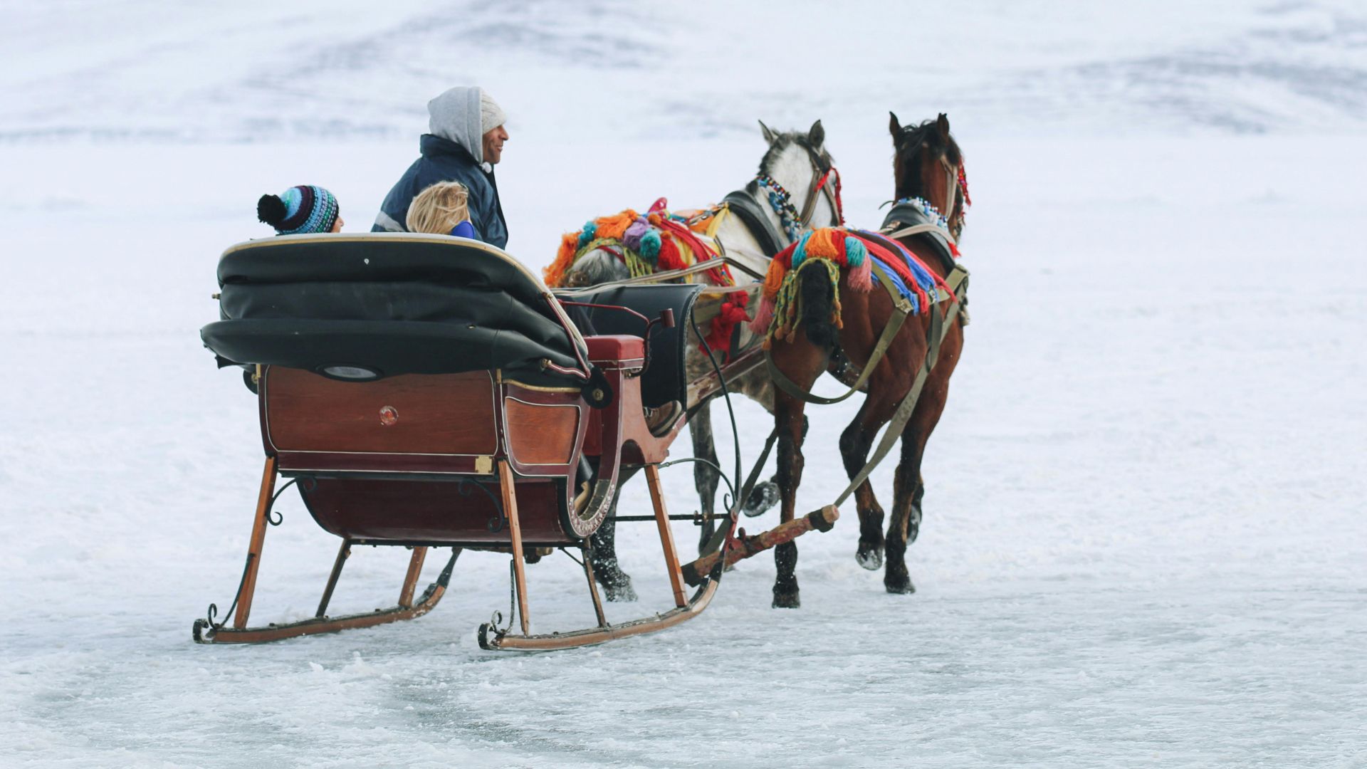 Horse-drawn sleigh