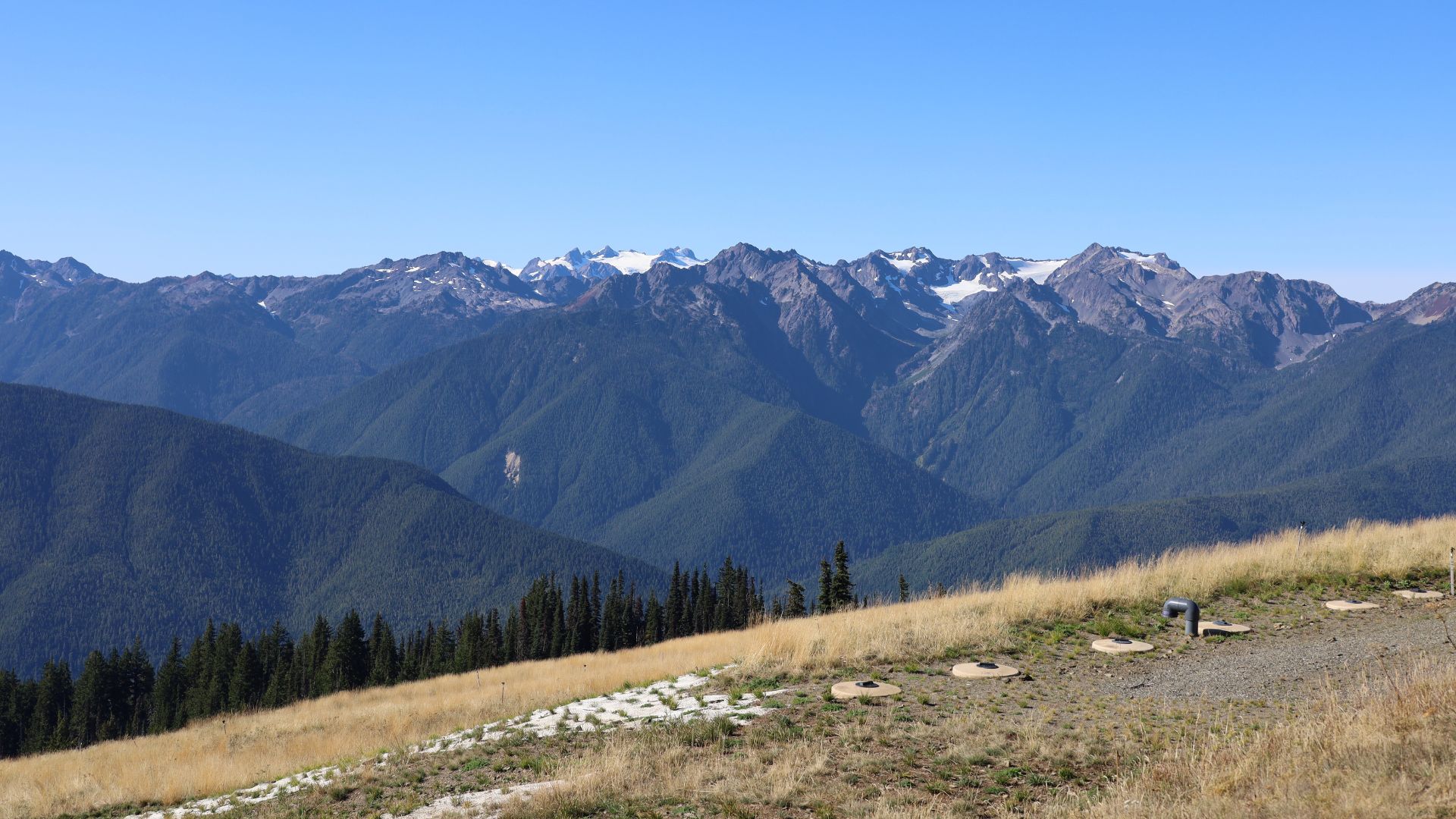A view from a grassy slope toward a panoramic mountain range with some snow-capped peaks under a clear blue sky at Hurricane Ridge, Olympic National Park.