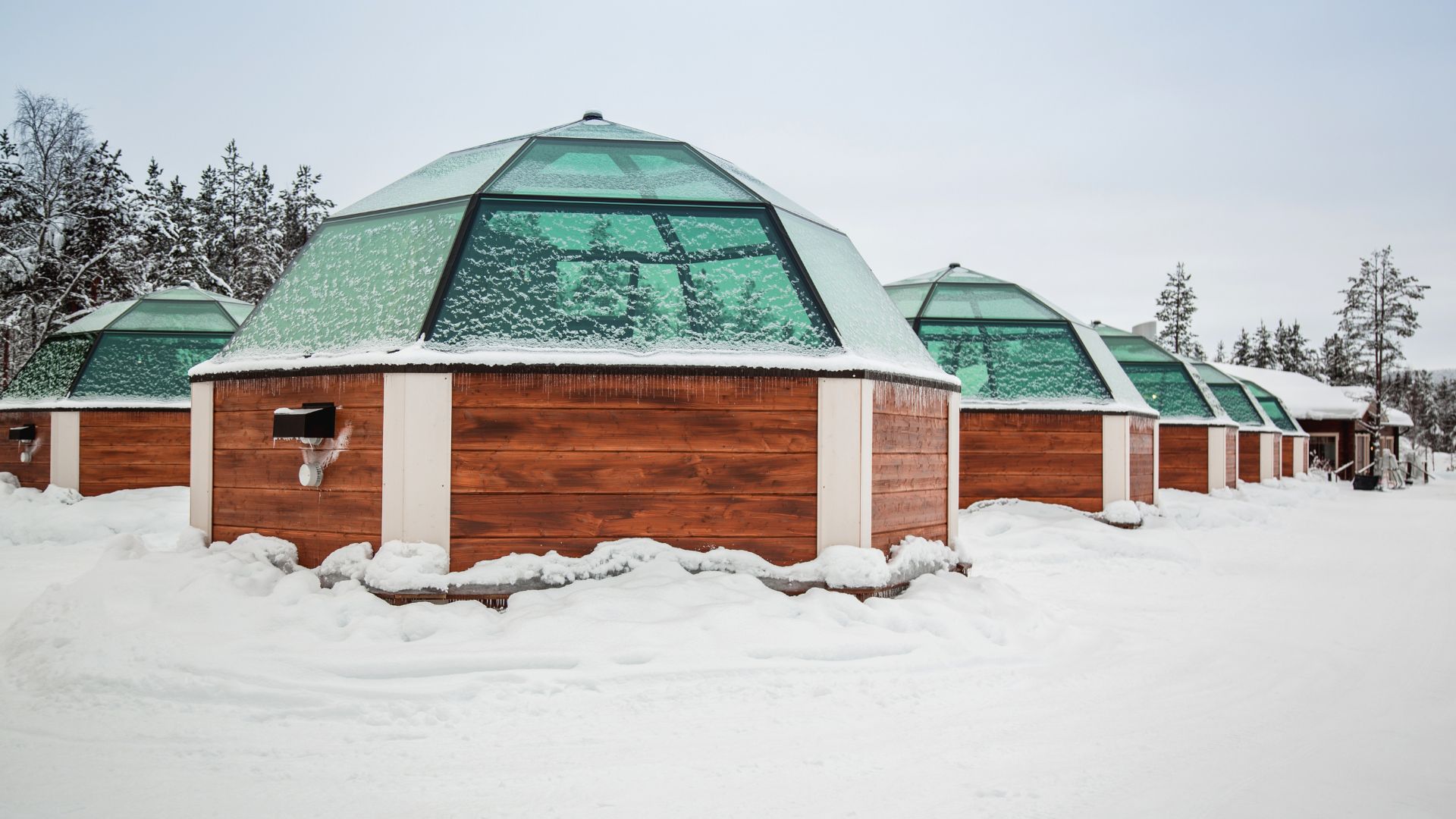 A row of modern, dome-shaped glass igloos with wooden bases and snow-covered, clear glass roofs, set in a deep, snow-covered landscape with pine trees in the background on an overcast day.