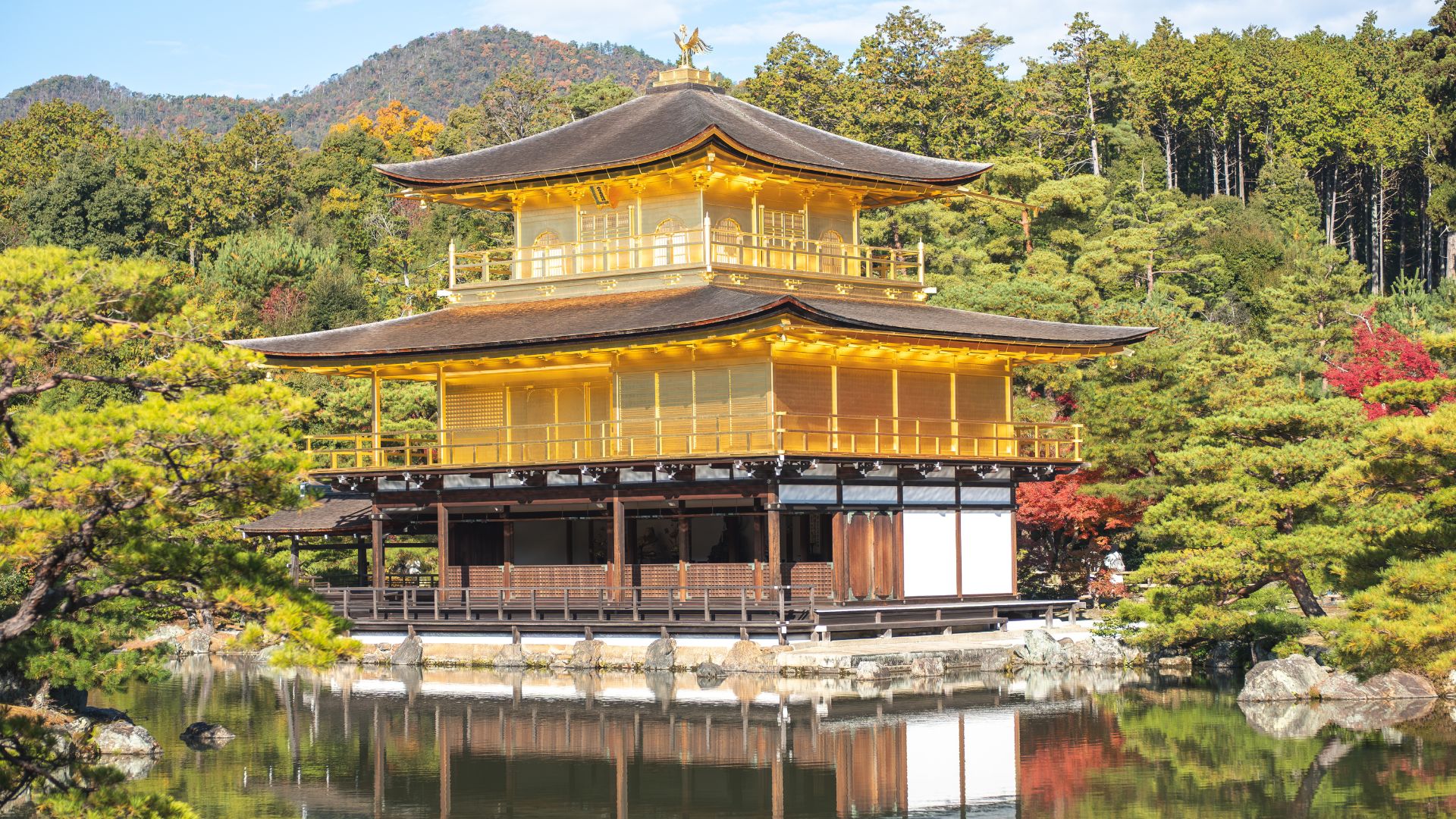 The Kinkaku-ji, or Golden Pavilion temple, in Kyoto, Japan, reflects in a placid pond surrounded by lush green and autumn-colored trees.