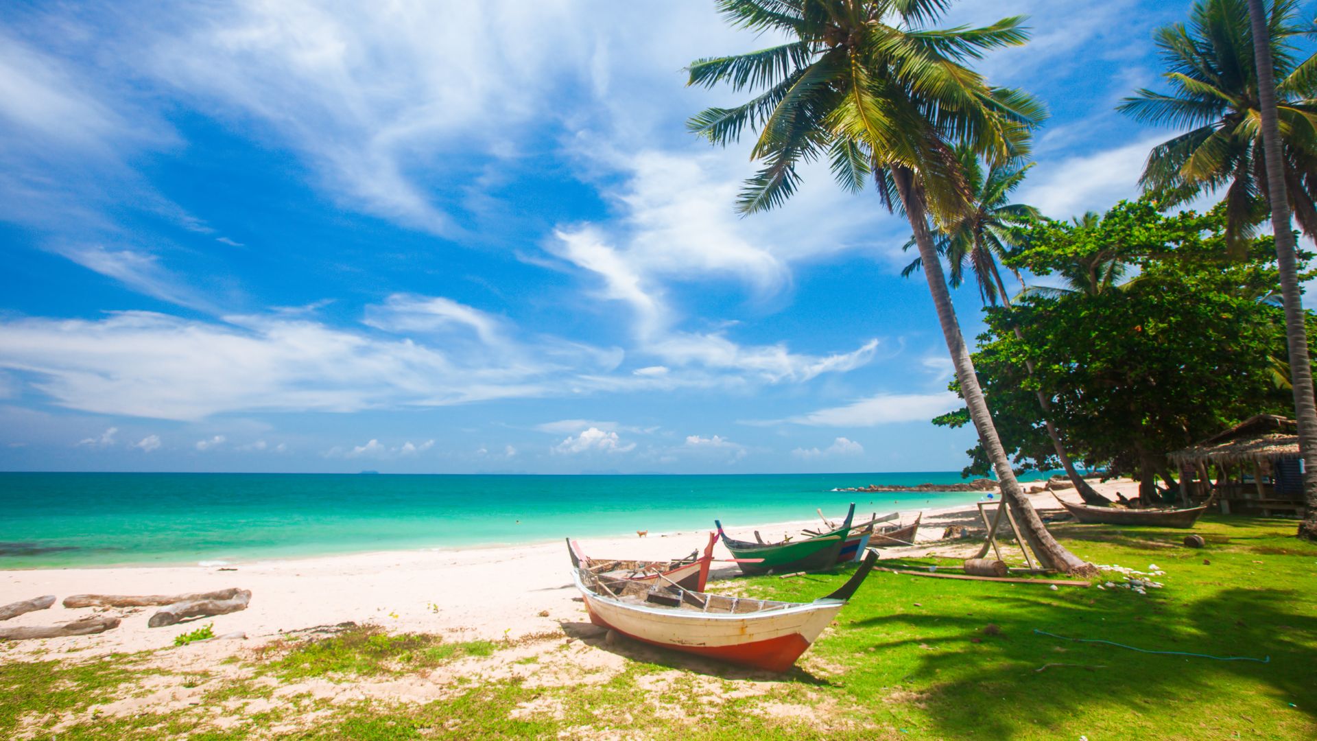 A sunny tropical beach on Koh Lanta, Thailand, with white sand, turquoise water, green grass, palm trees, and traditional longtail boats resting on the shore.