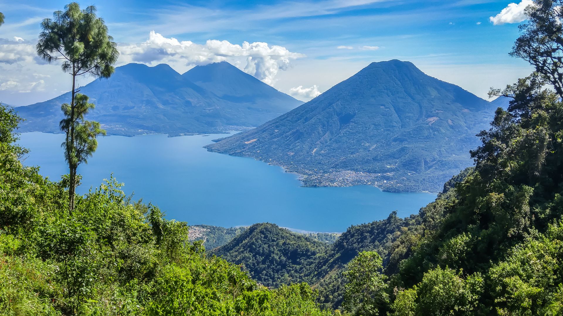 A panoramic view of a large blue lake surrounded by lush green hills and three large volcanoes under a bright blue sky with white clouds.