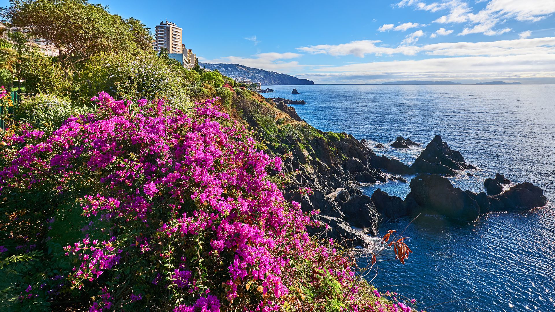 Madeira, Northern Portugal