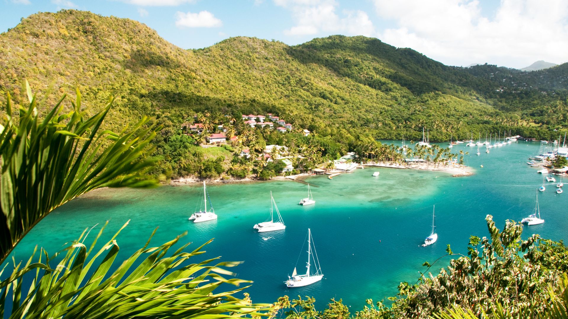 A scenic view of a tropical bay with lush green hills and several sailboats in the turquoise water.