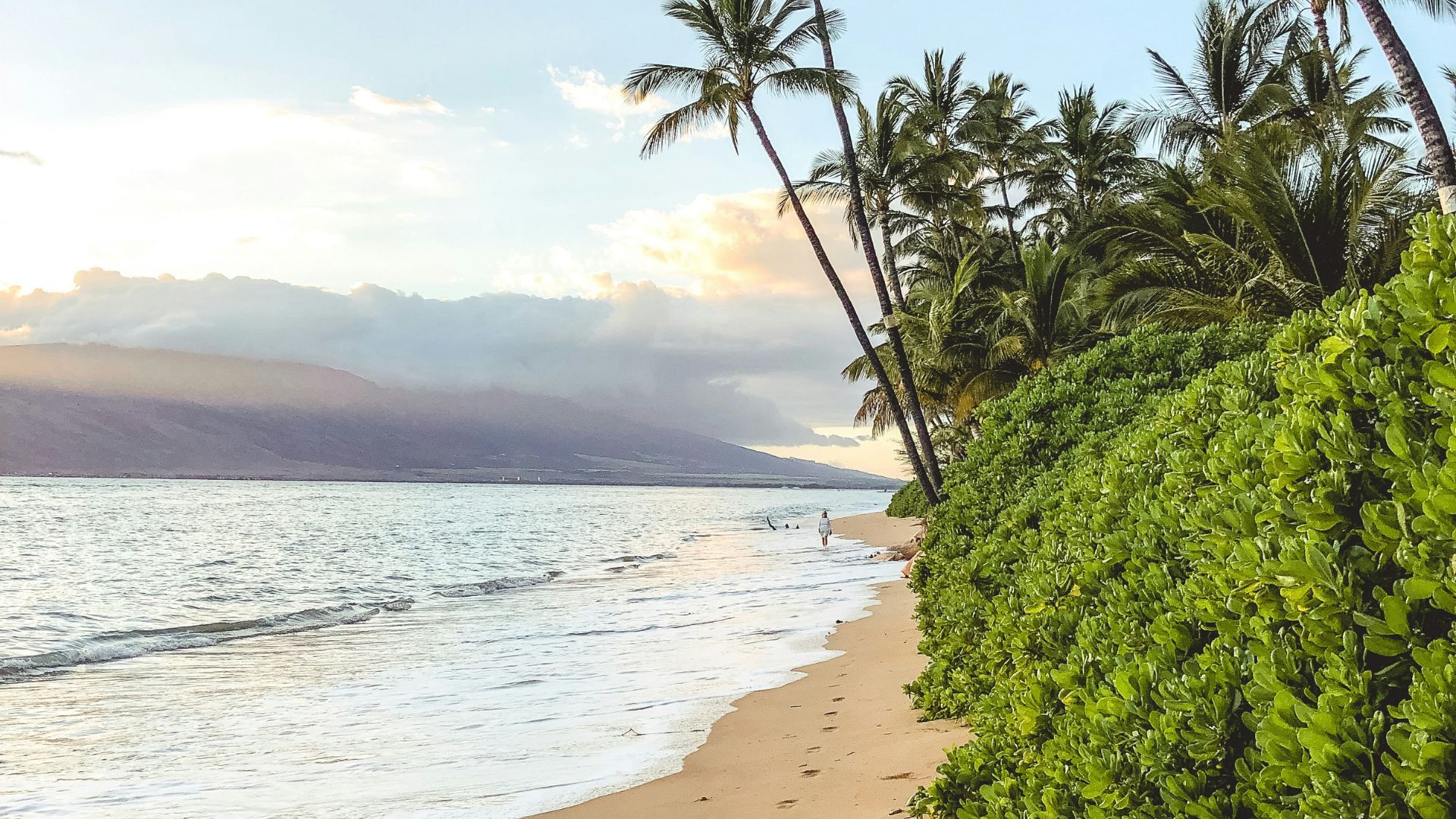 A tropical beach on the island of Maui at sunset with golden sand, green bushes, and palm trees that lean toward the ocean, with a distant island visible across the water under a partly cloudy sky.