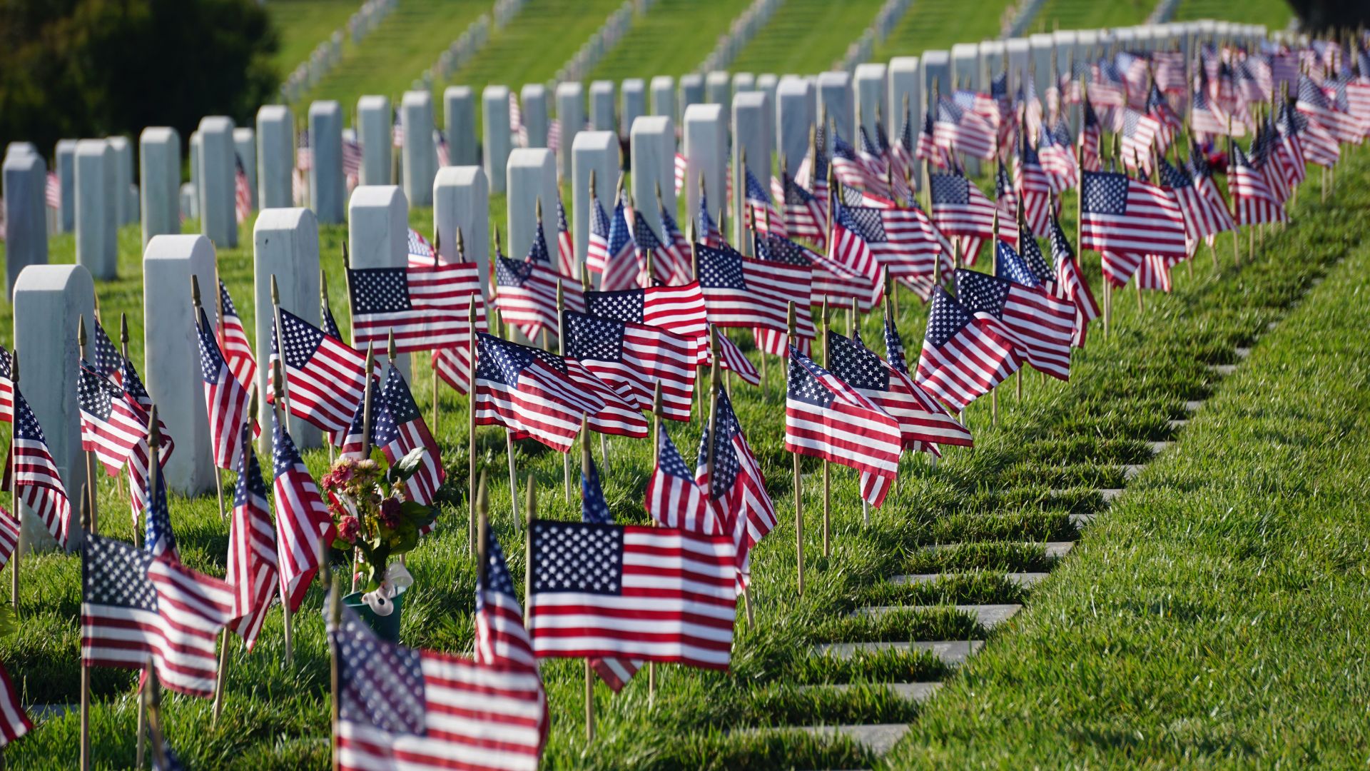 Small American flags are placed in the grass in front of uniform white headstones at a military cemetery, honoring fallen service members.