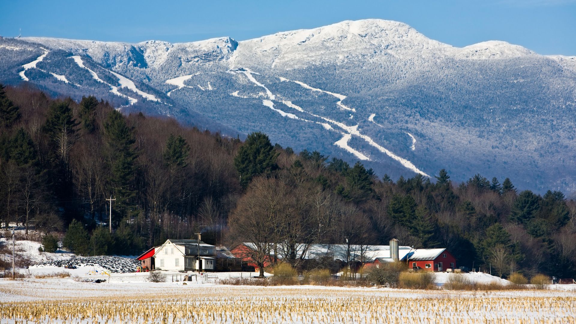 Mount Mansfield, Stowe, Vermont, USA