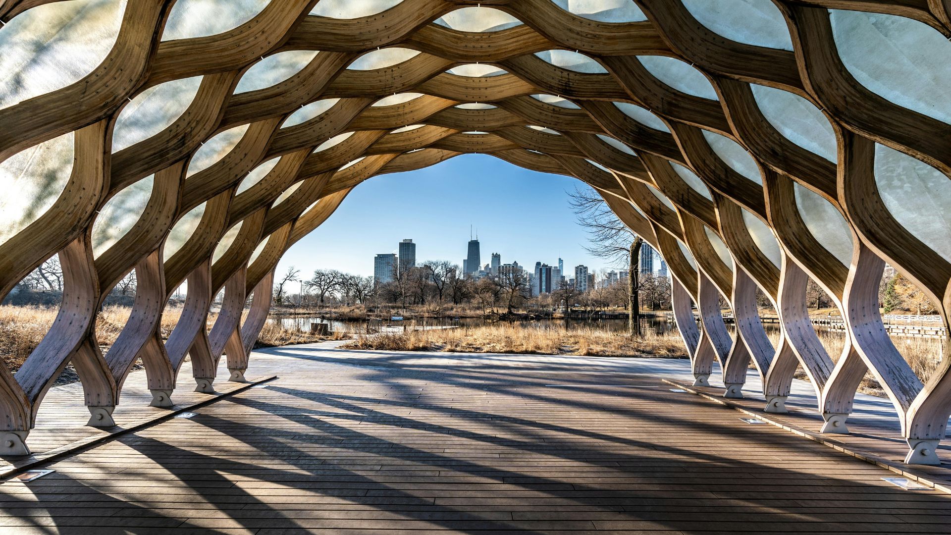 A view from inside a large, open-air pavilion made of curved, laminated wooden arches that form a wavy, shell-like structure, looking out over a winter landscape with a pond and the Chicago skyline visible in the distance.