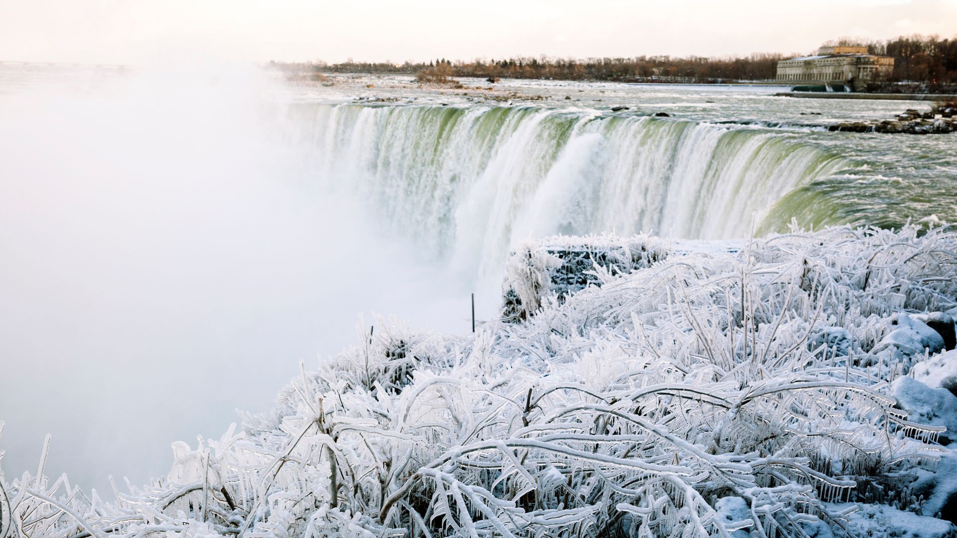 A wide, crescent-shaped waterfall (Horseshoe Falls) flows powerfully amidst a frigid, icy landscape with snow-covered branches in the foreground.