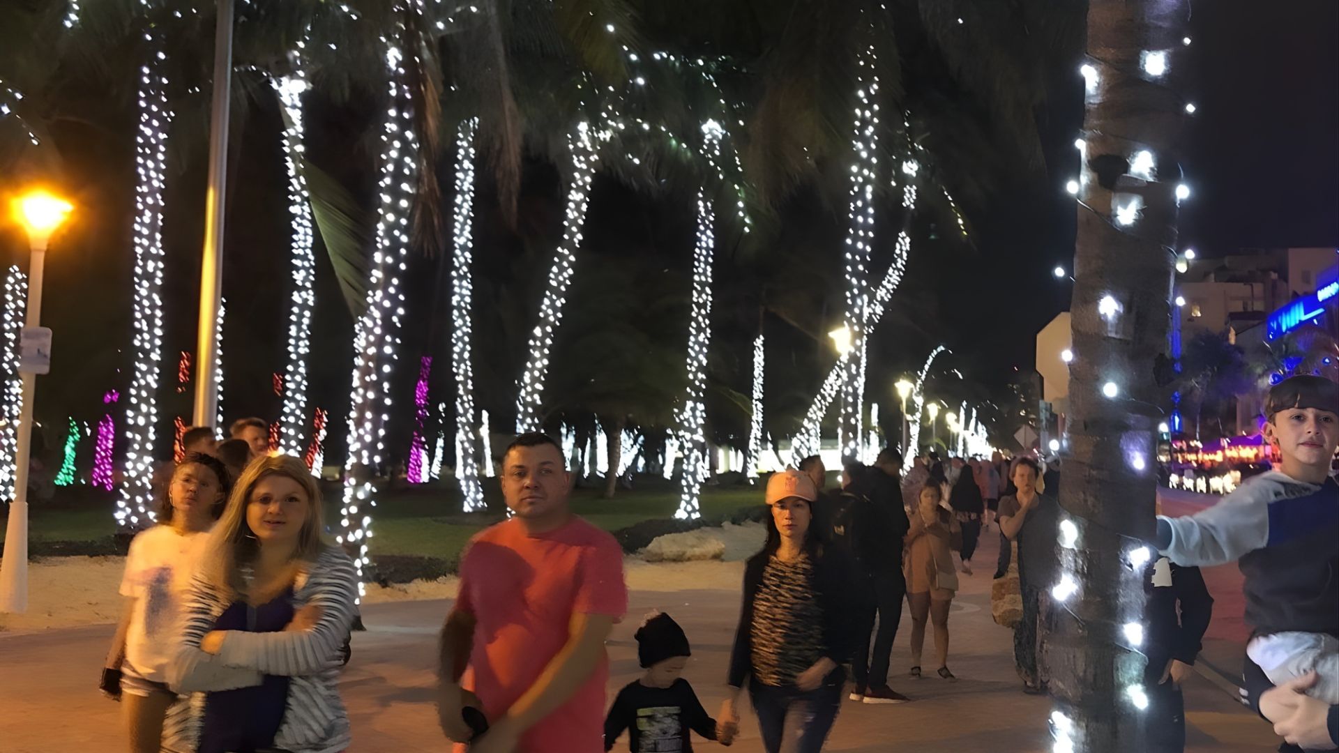 A nighttime photo of a public walkway lined with palm trees wrapped in white and colored holiday lights, with several pedestrians strolling by.