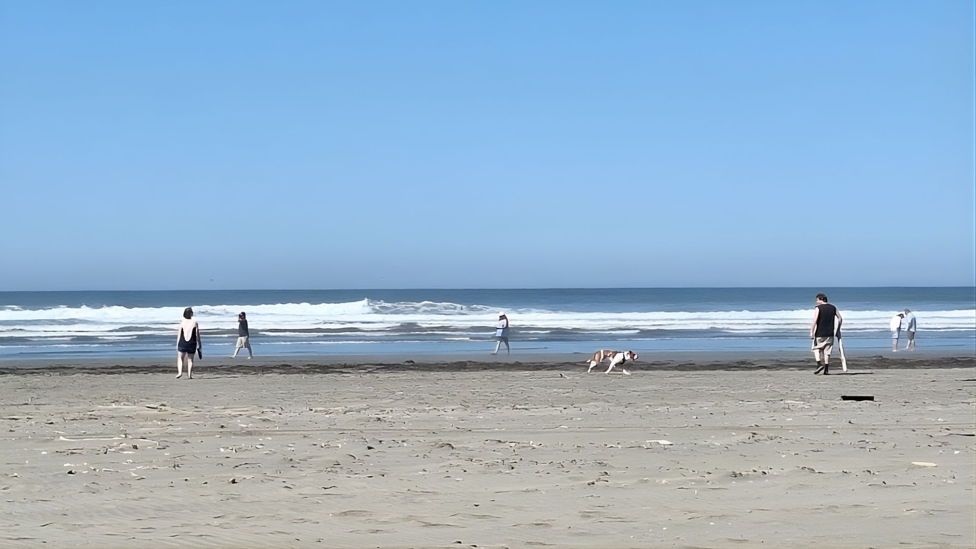 A wide, expansive sandy beach on a sunny day, with several people and a dog walking near the gentle ocean waves under a bright blue sky.