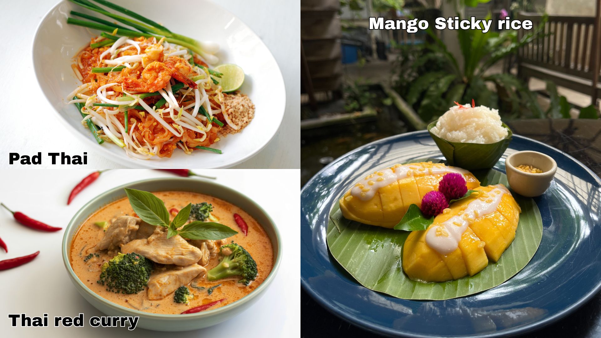 Collage image of Pad Thai, Thai red curry, Mango Sticky rice
