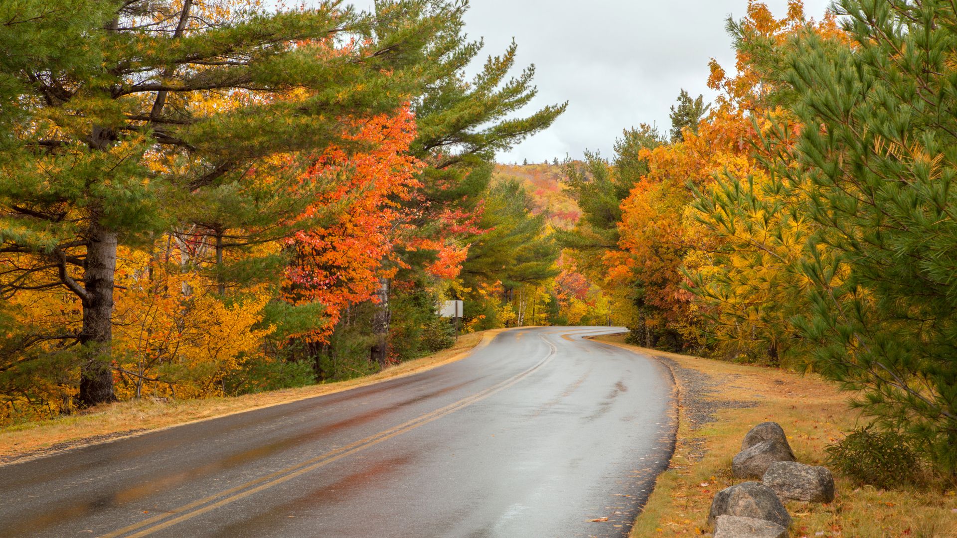 Park Loop Road in Acadia National Park, Maine