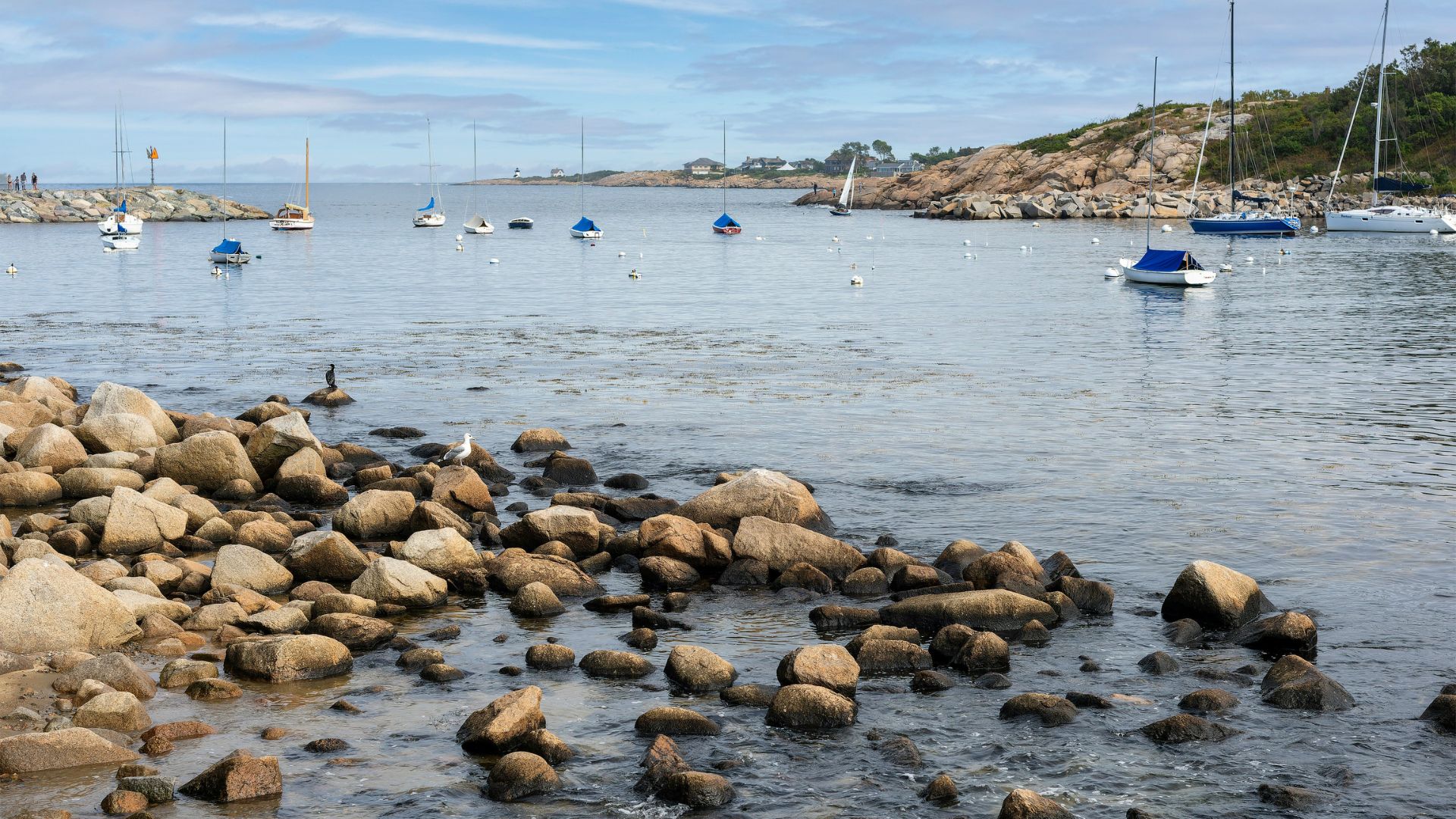 A rocky shore in the foreground leads into a harbor filled with various sailboats and pleasure craft, backed by a distant, tree-covered coastline with scattered houses.