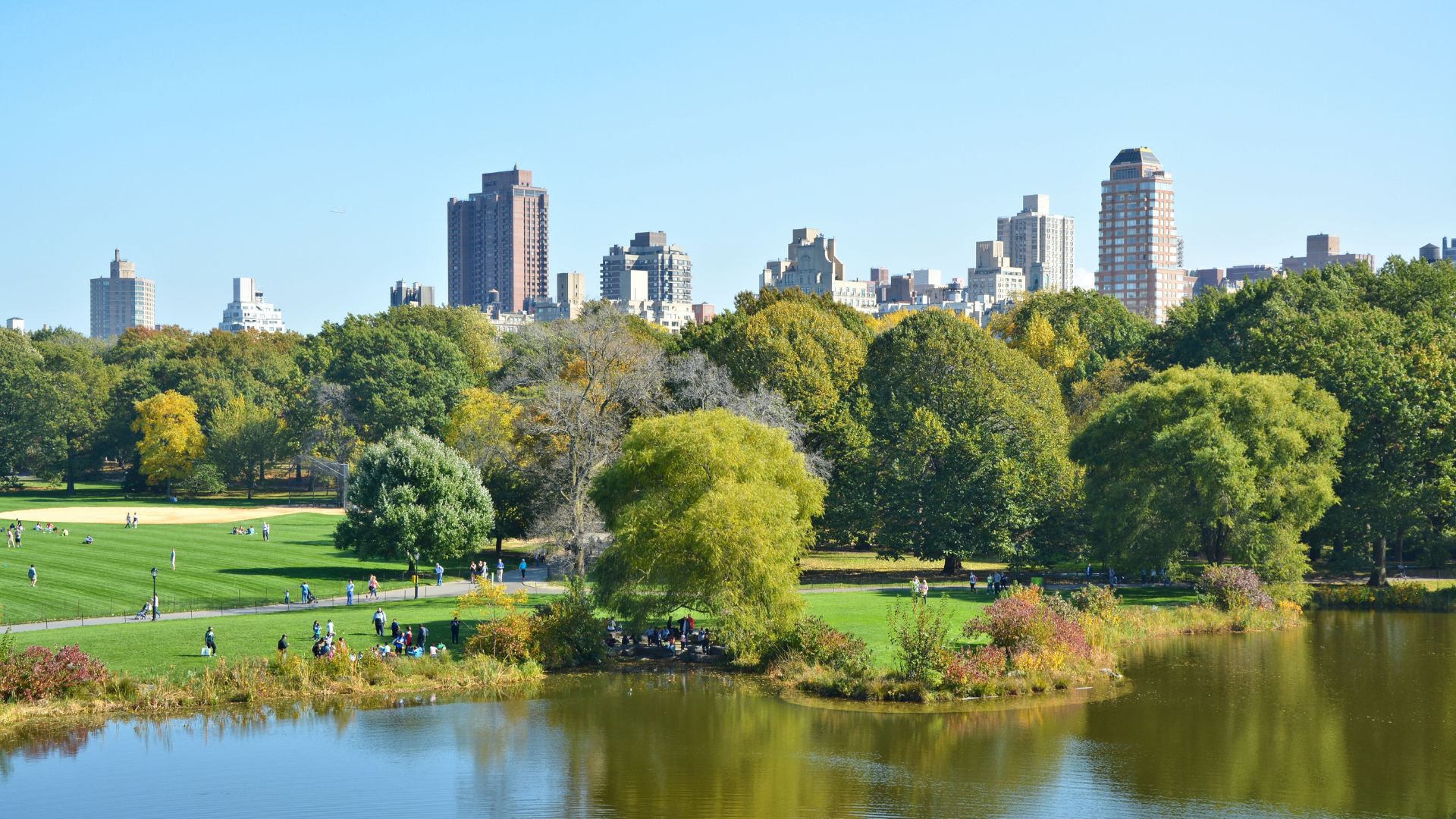 A wide shot of many people relaxing on the large green lawn of the Sheep Meadow in New York City's Central Park, with classic high-rise apartment buildings towering in the background under a blue, cloudy sky.