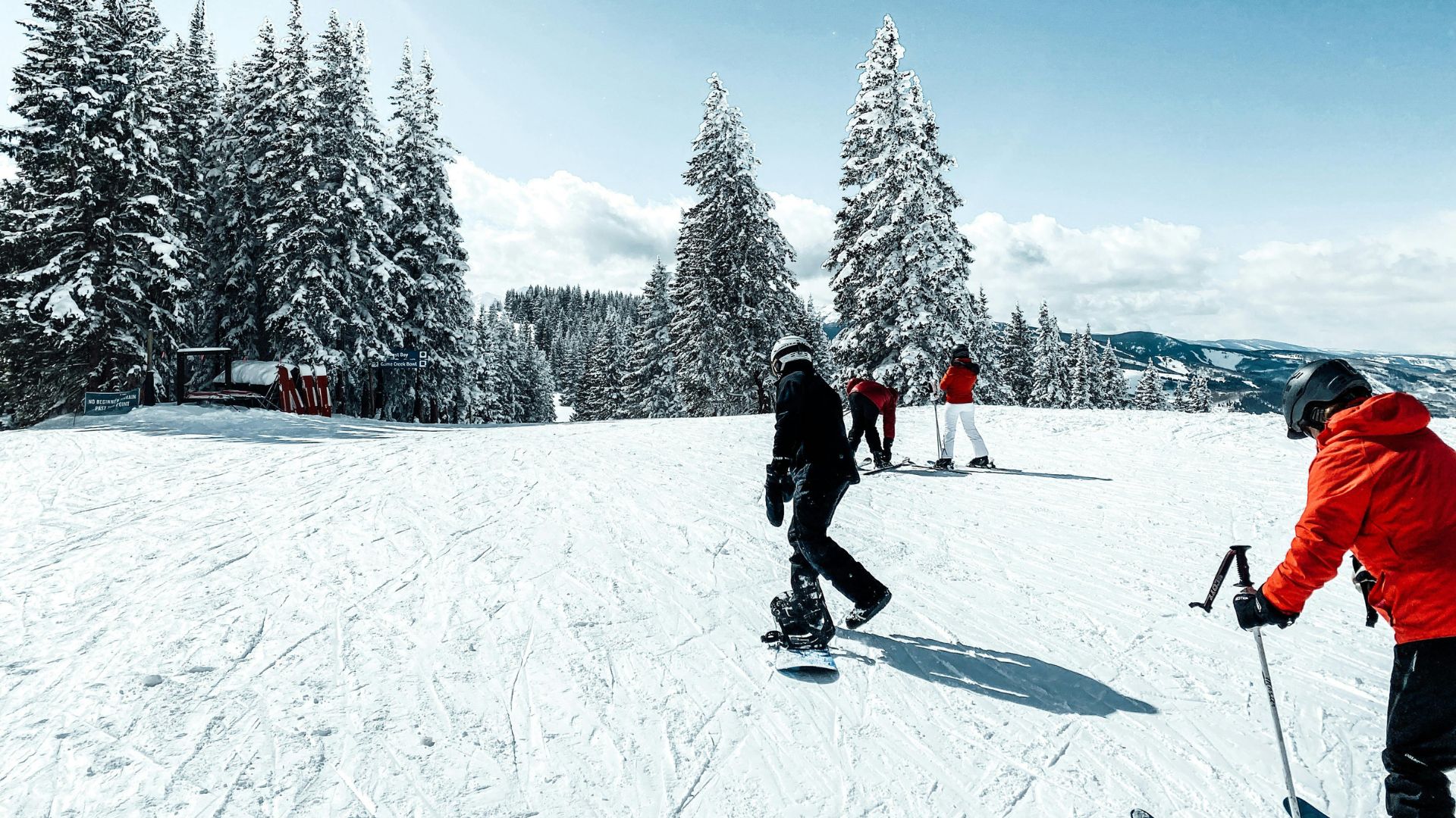 A wide, sunlit shot of several people snowboarding and skiing down a white, snow-covered mountain slope bordered by large evergreen trees dusted with fresh snow.